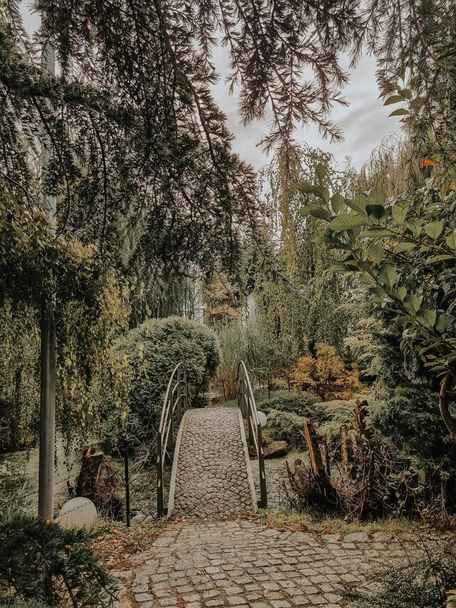 Garden in Pokoje hotelowe Azyl