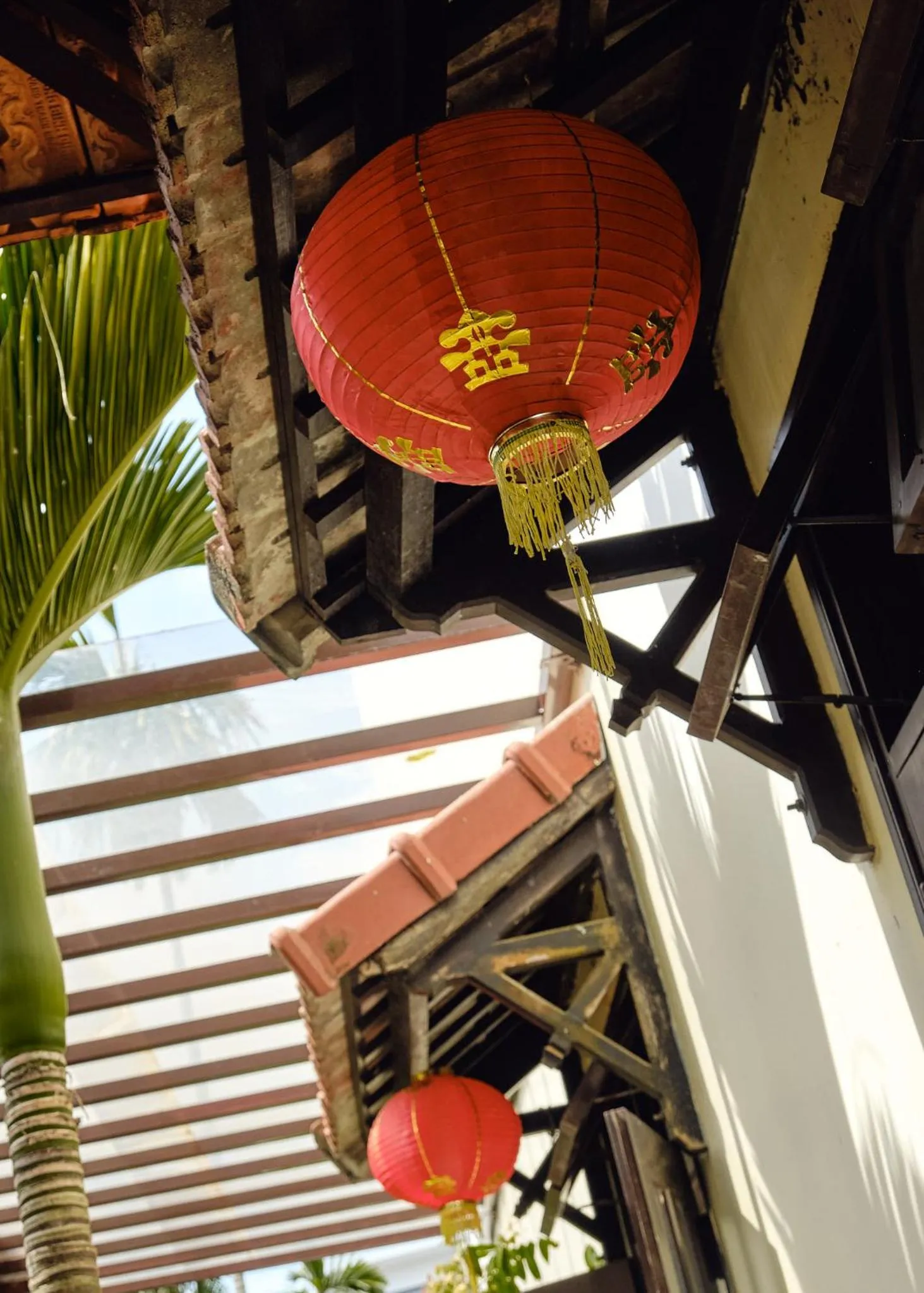 View (from property/room) in Hoi An Holiday Villa