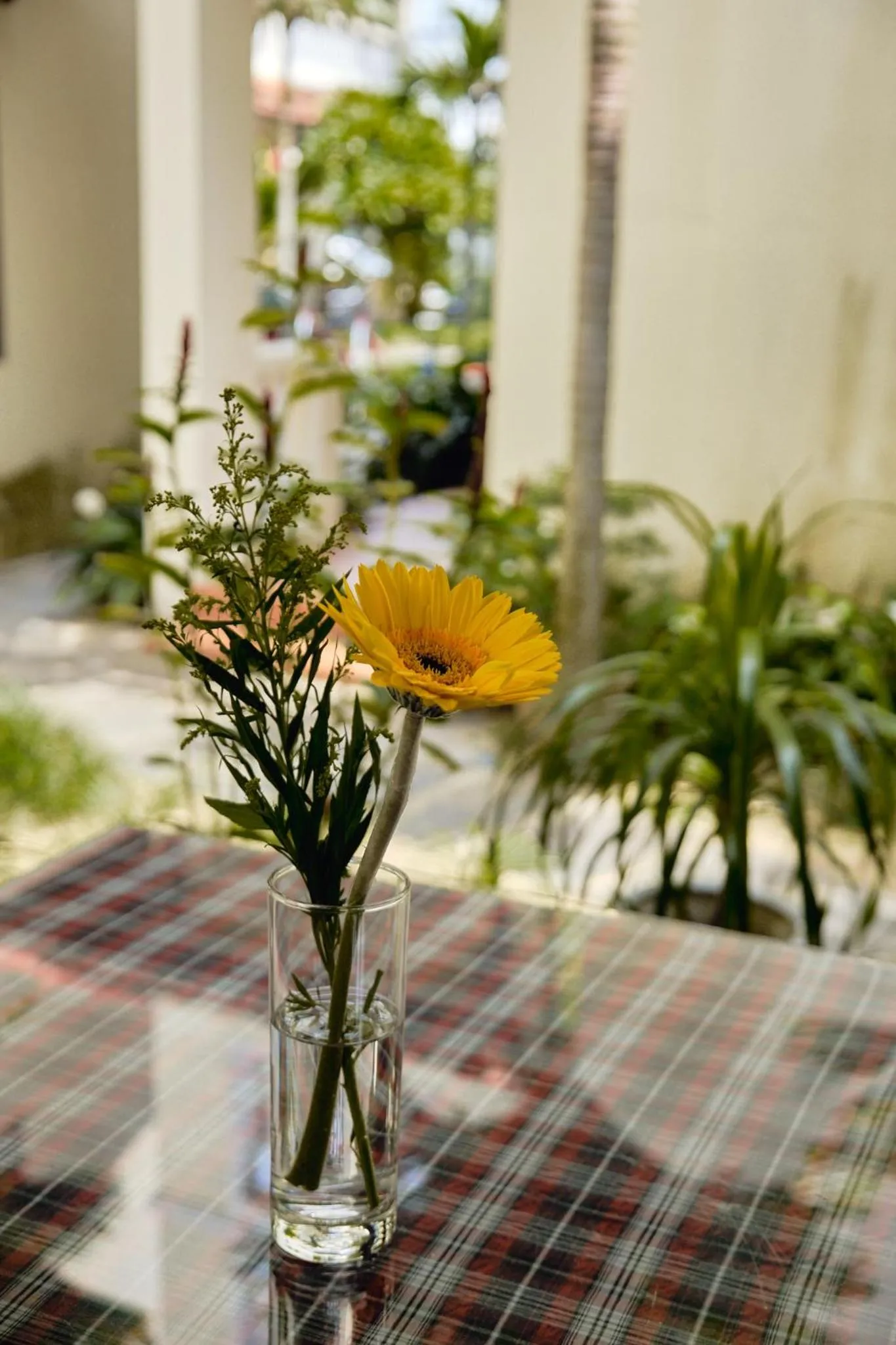 Spring in Hoi An Holiday Villa