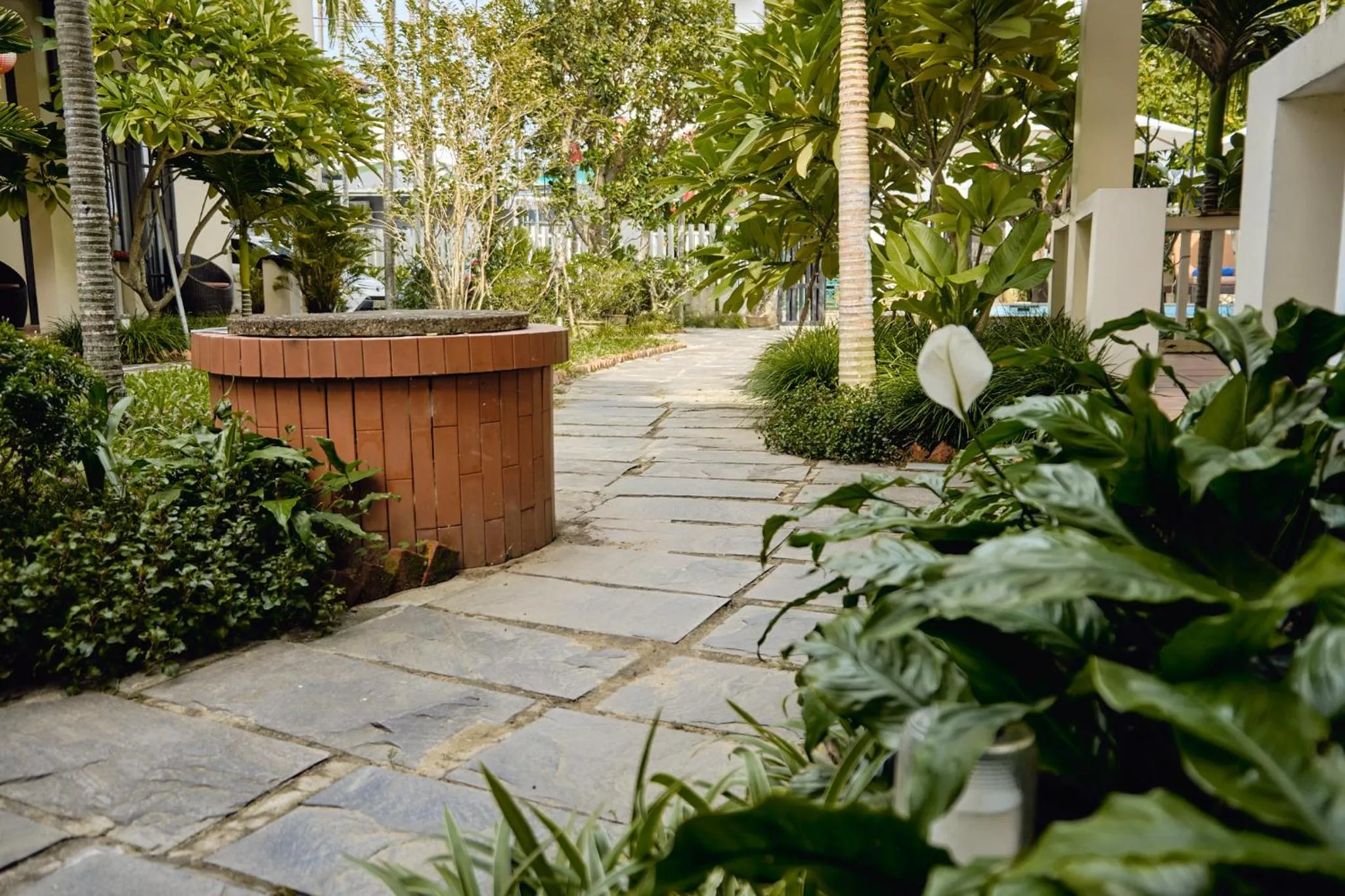 Garden in Hoi An Holiday Villa