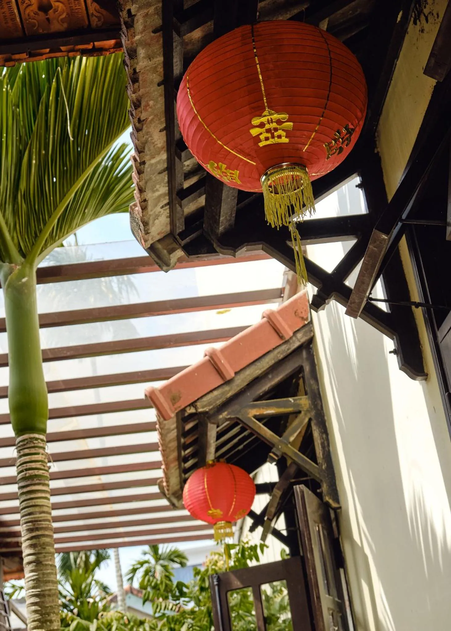 View (from property/room) in Hoi An Holiday Villa