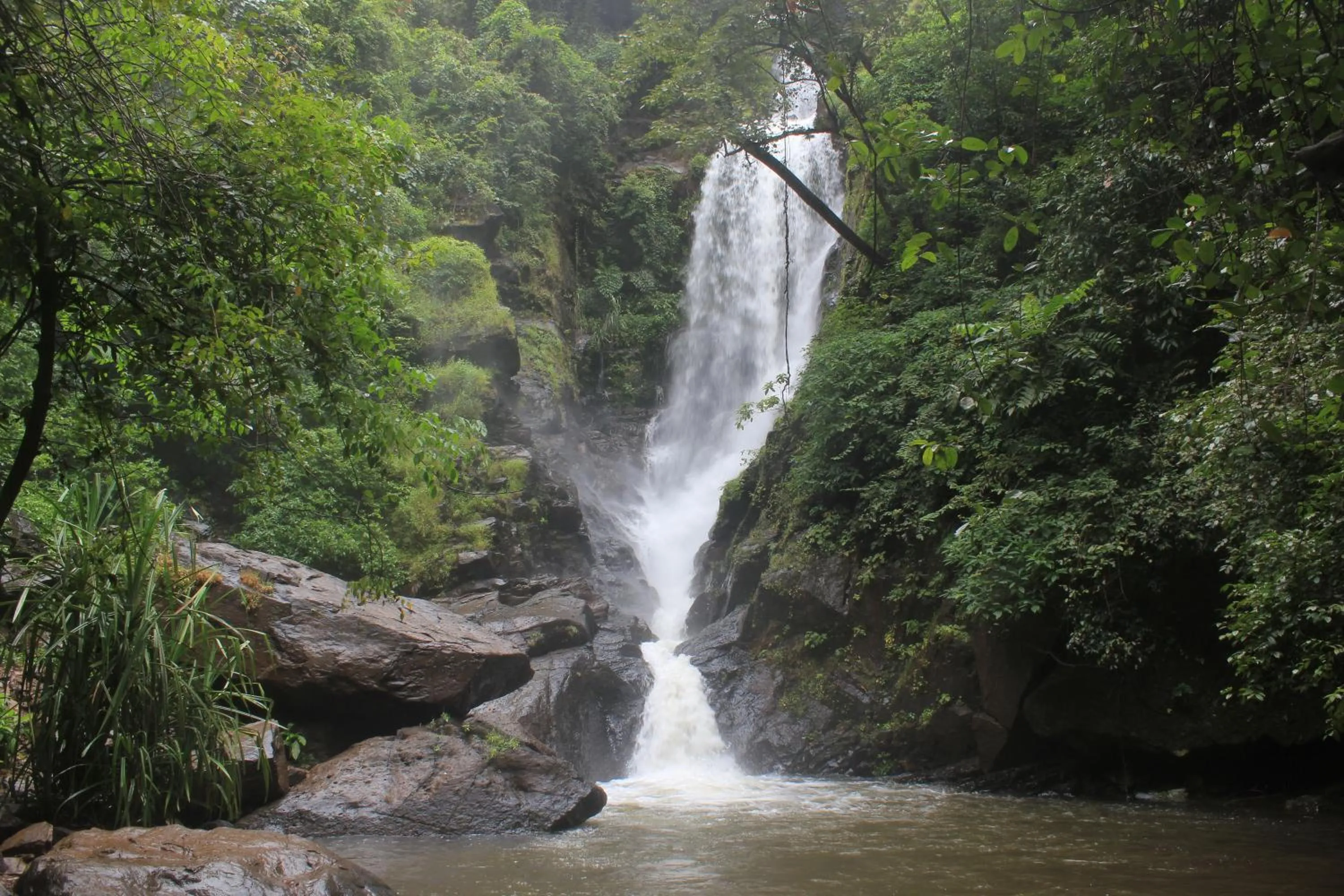 Nearby landmark in Dudhsagar Plantation