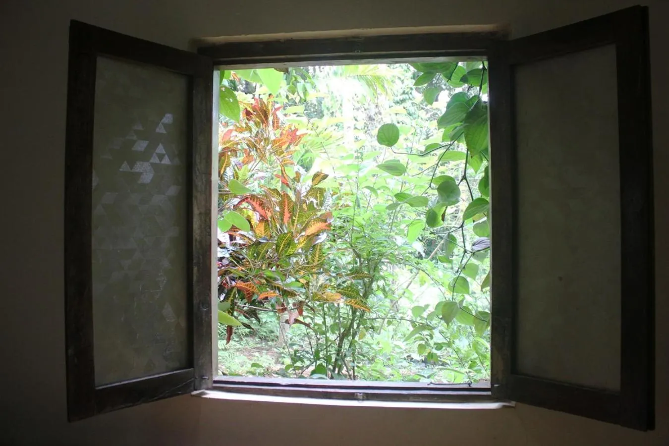 Garden view in Dudhsagar Plantation