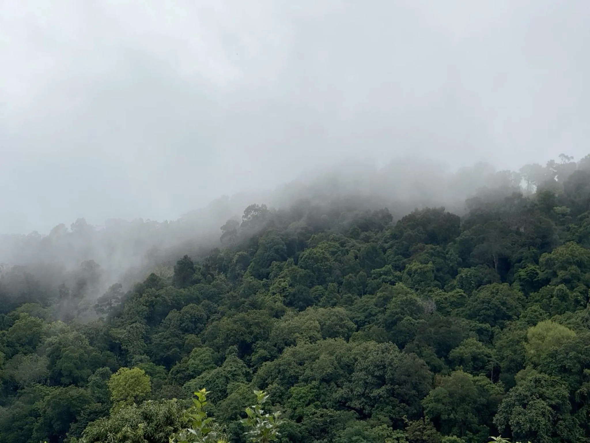 Day in Abrite House - Tiny House Koh Lanta