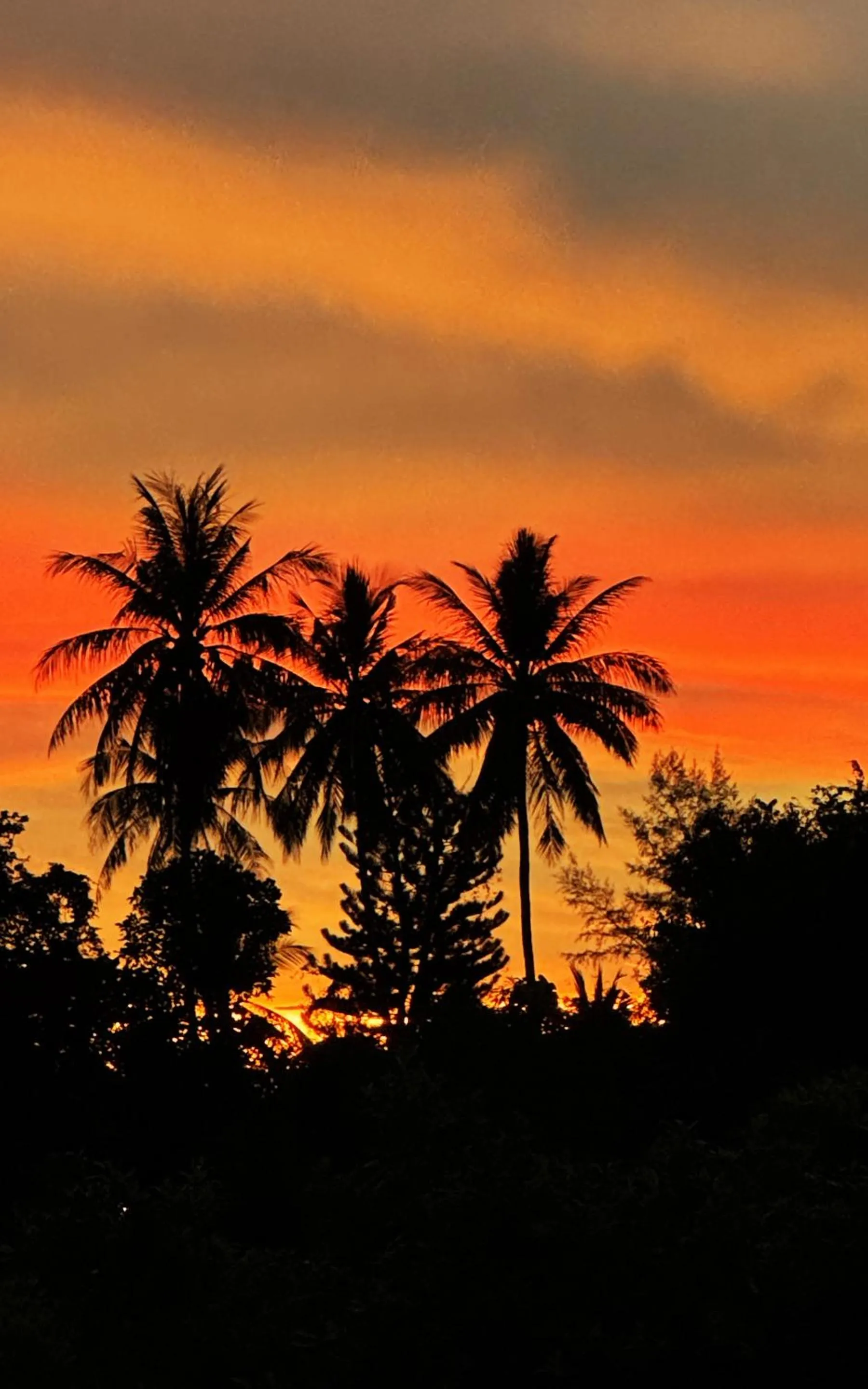 Natural landscape in Abrite House - Tiny House Koh Lanta