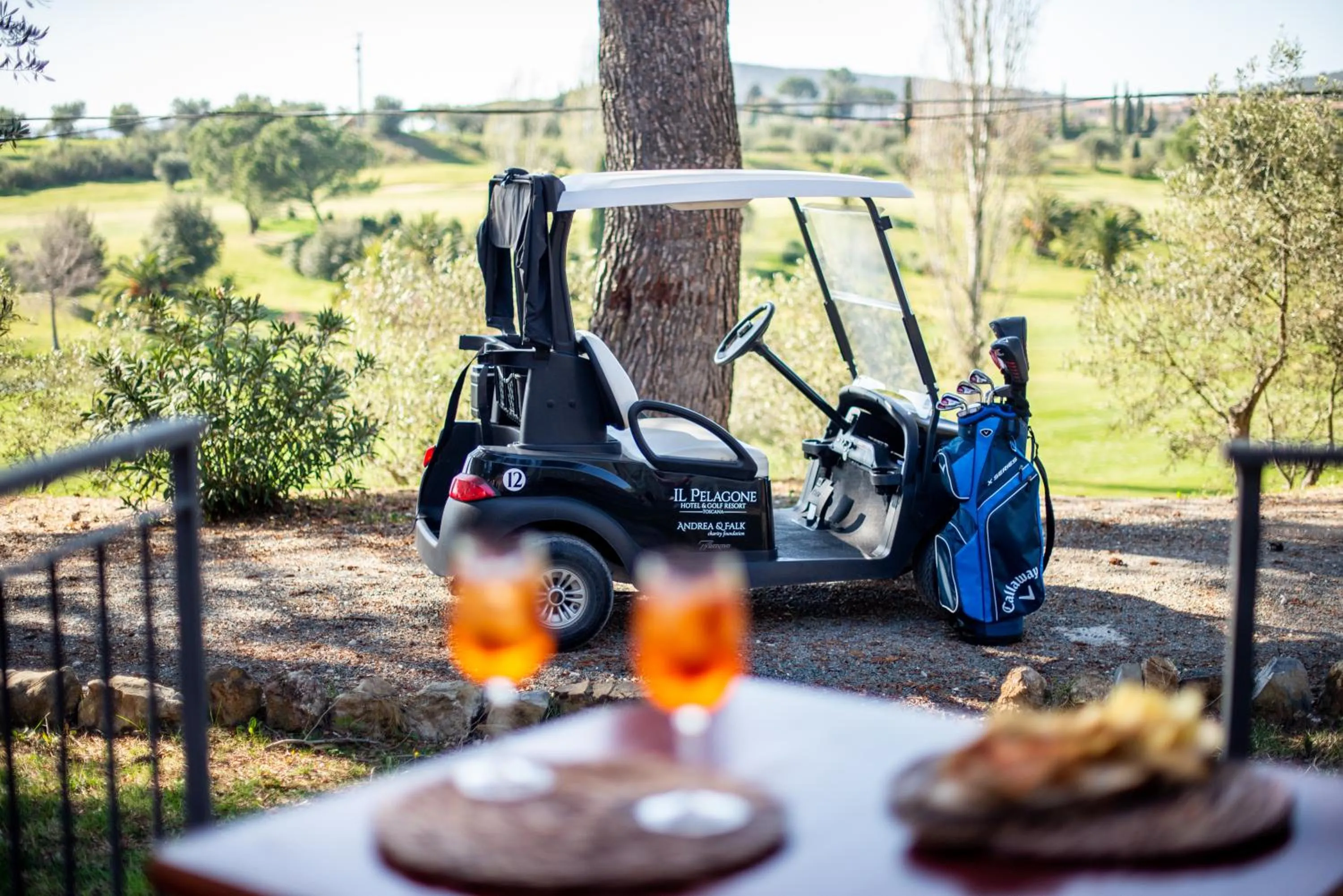 Balcony/Terrace in Il Pelagone Hotel & Golf Resort Toscana