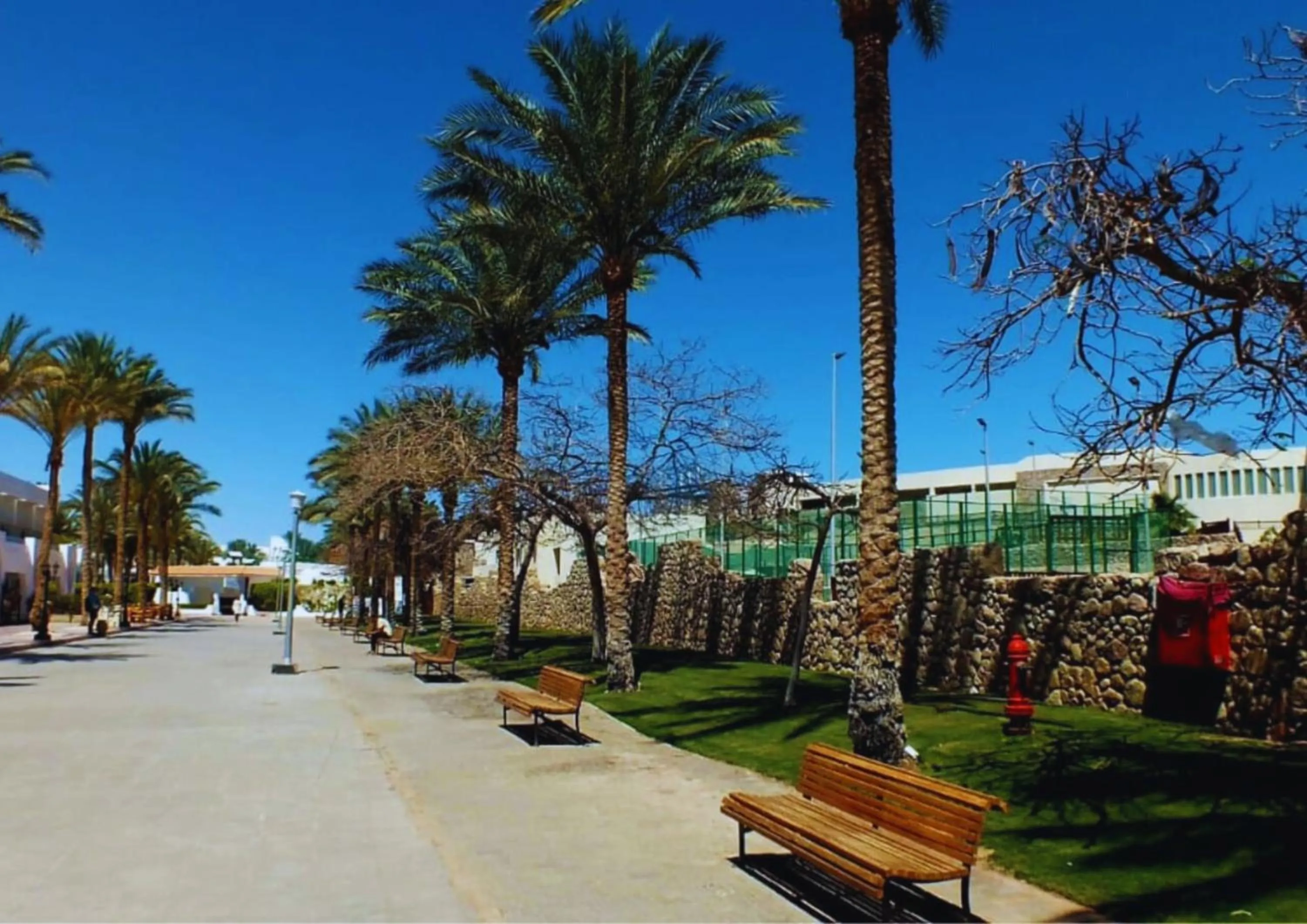 Beach in Luxury Sharm Hills Resort