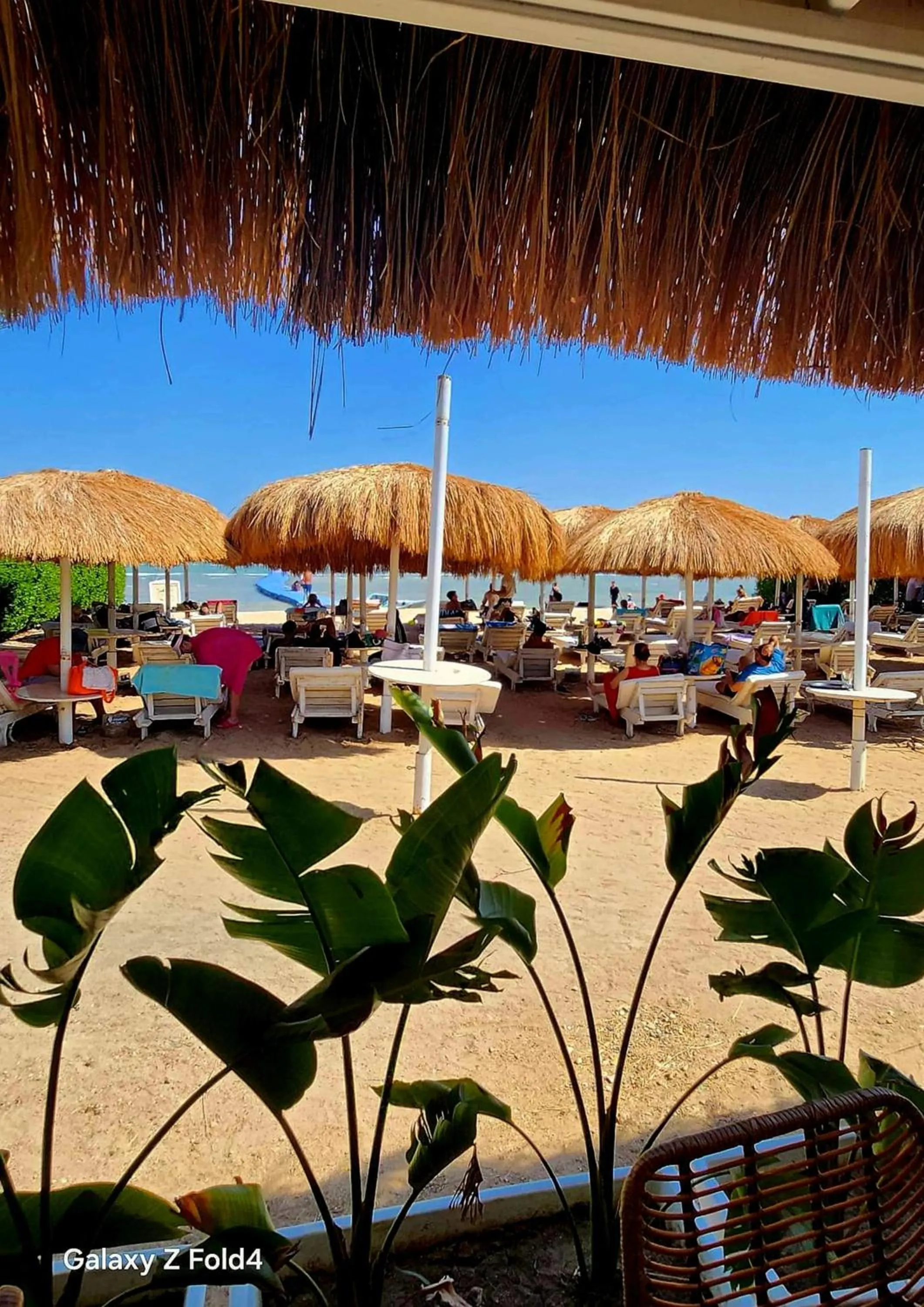 Beach in Luxury Sharm Hills Resort