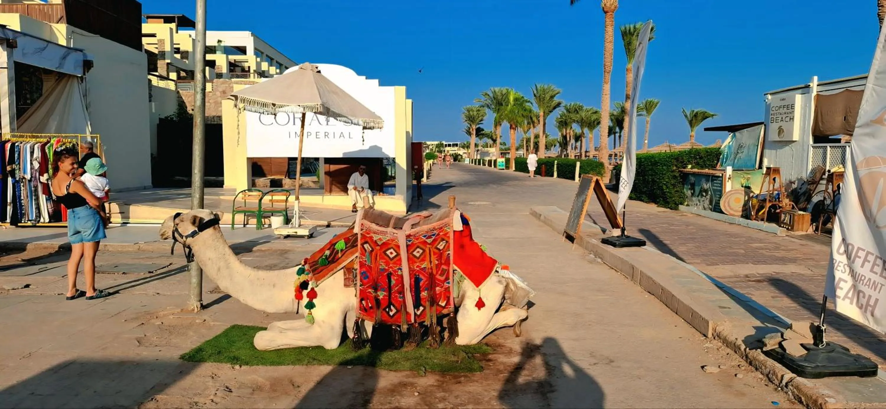 Luxury Sharm Hills Resort