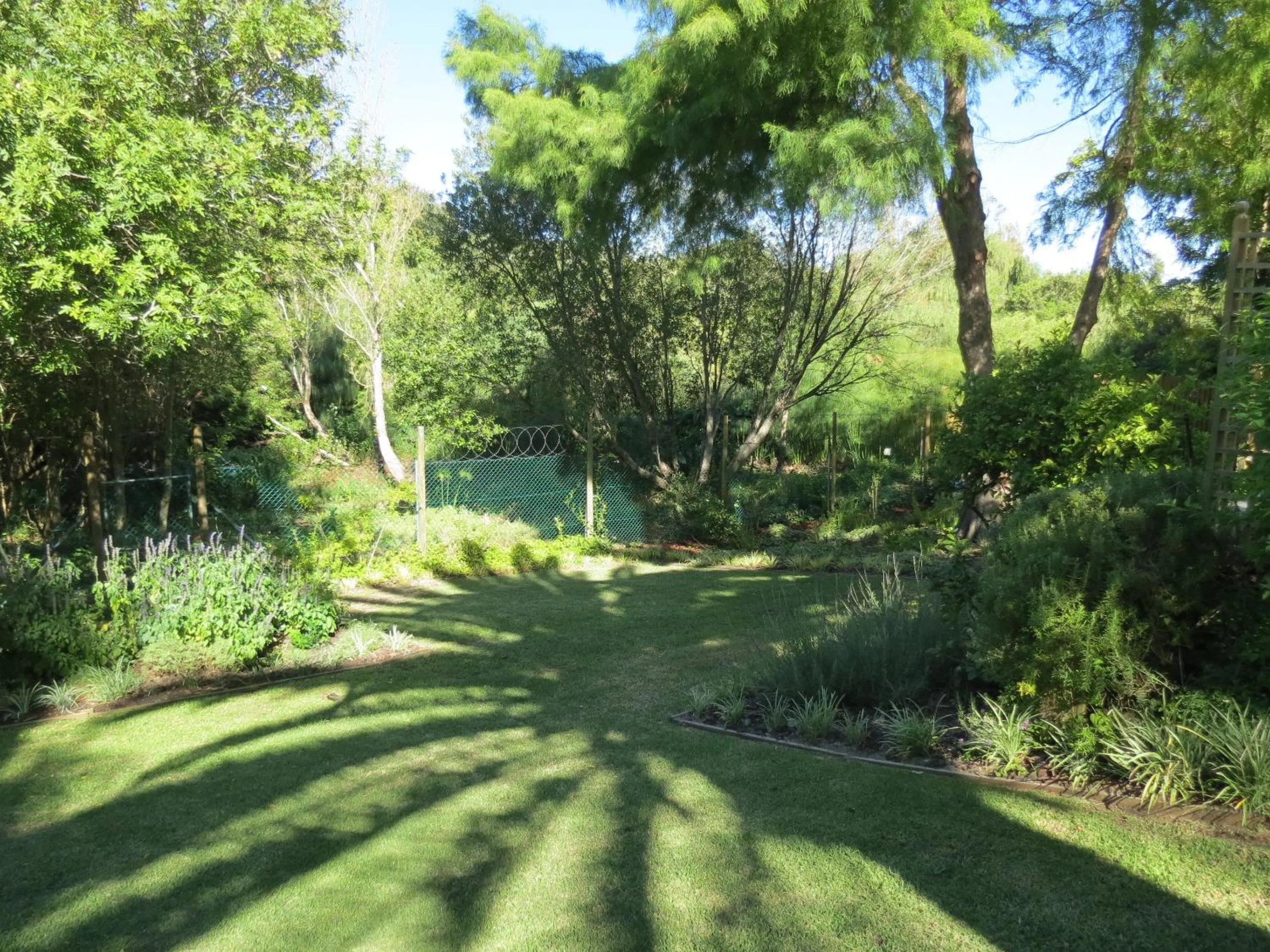 Garden in 33 Strawberry Lane - Studio and Cottage