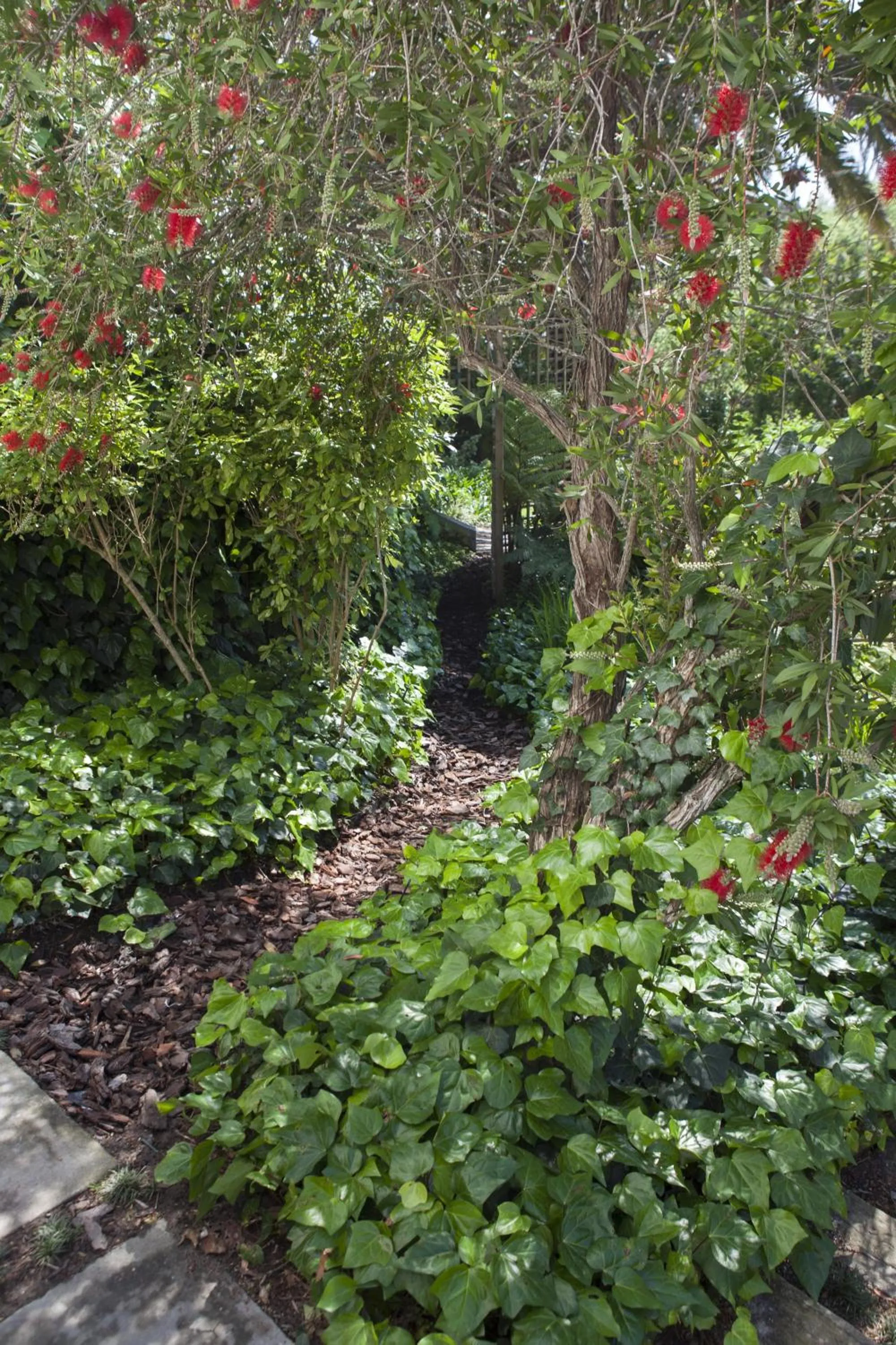 Garden in 33 Strawberry Lane - Studio and Cottage