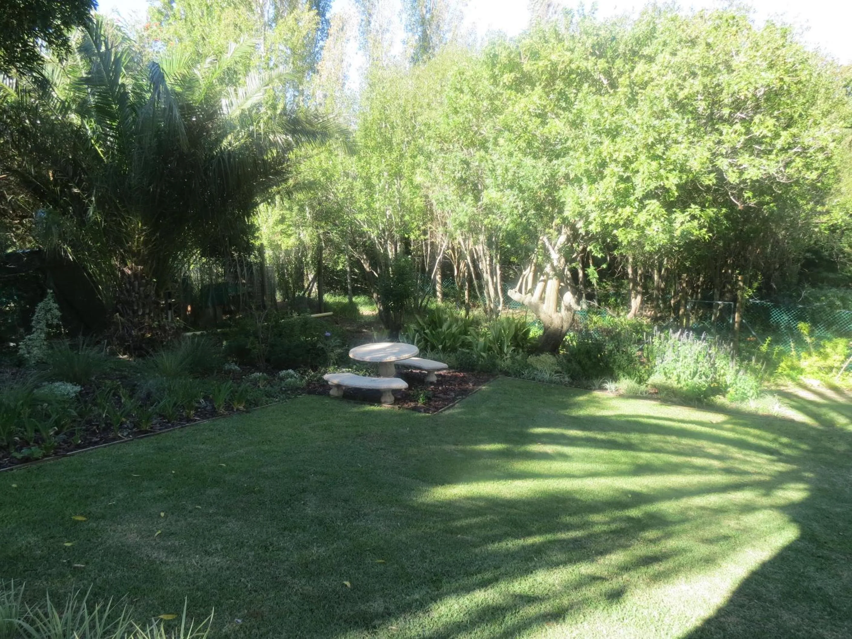 Garden in 33 Strawberry Lane - Studio and Cottage