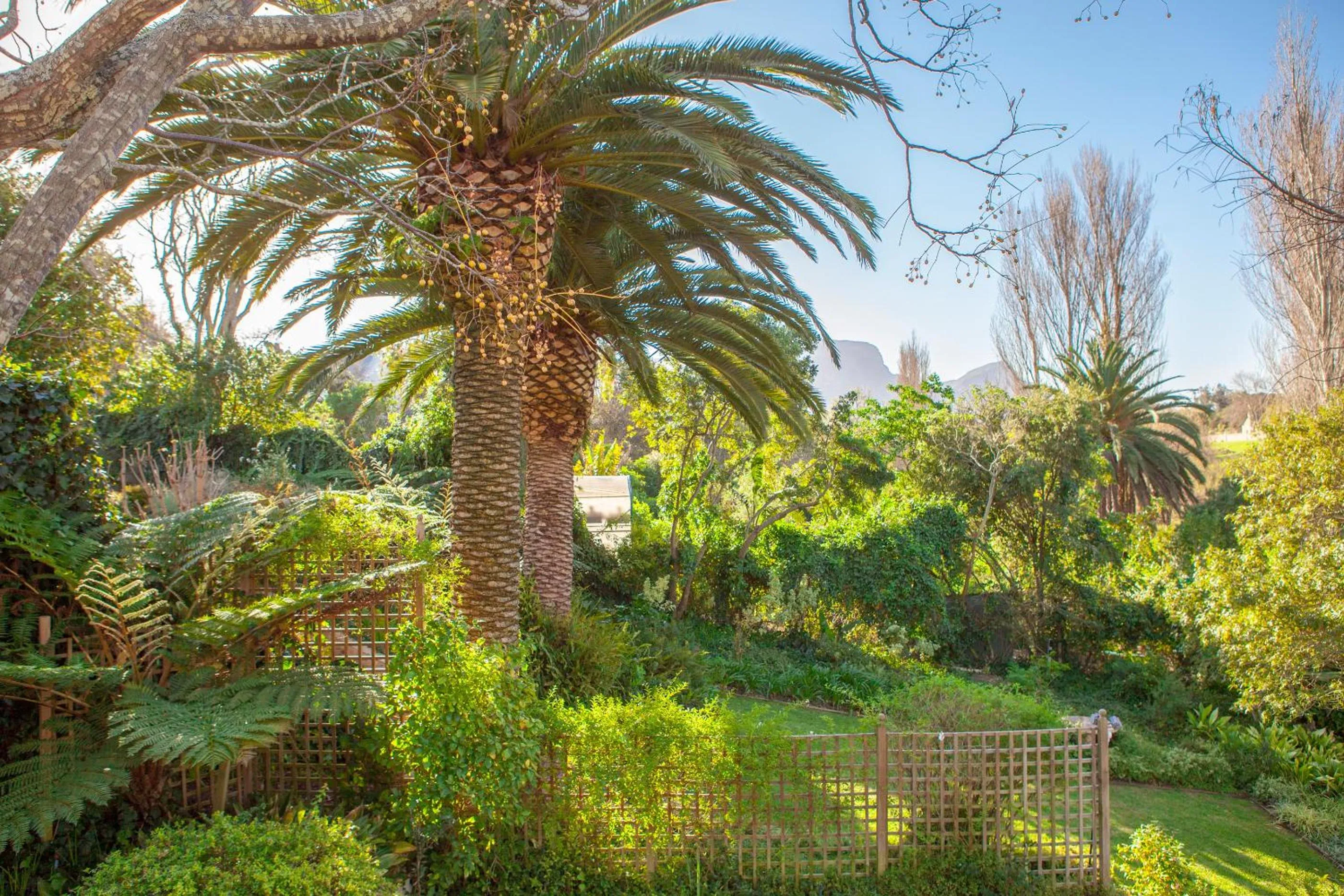 Garden in 33 Strawberry Lane - Studio and Cottage