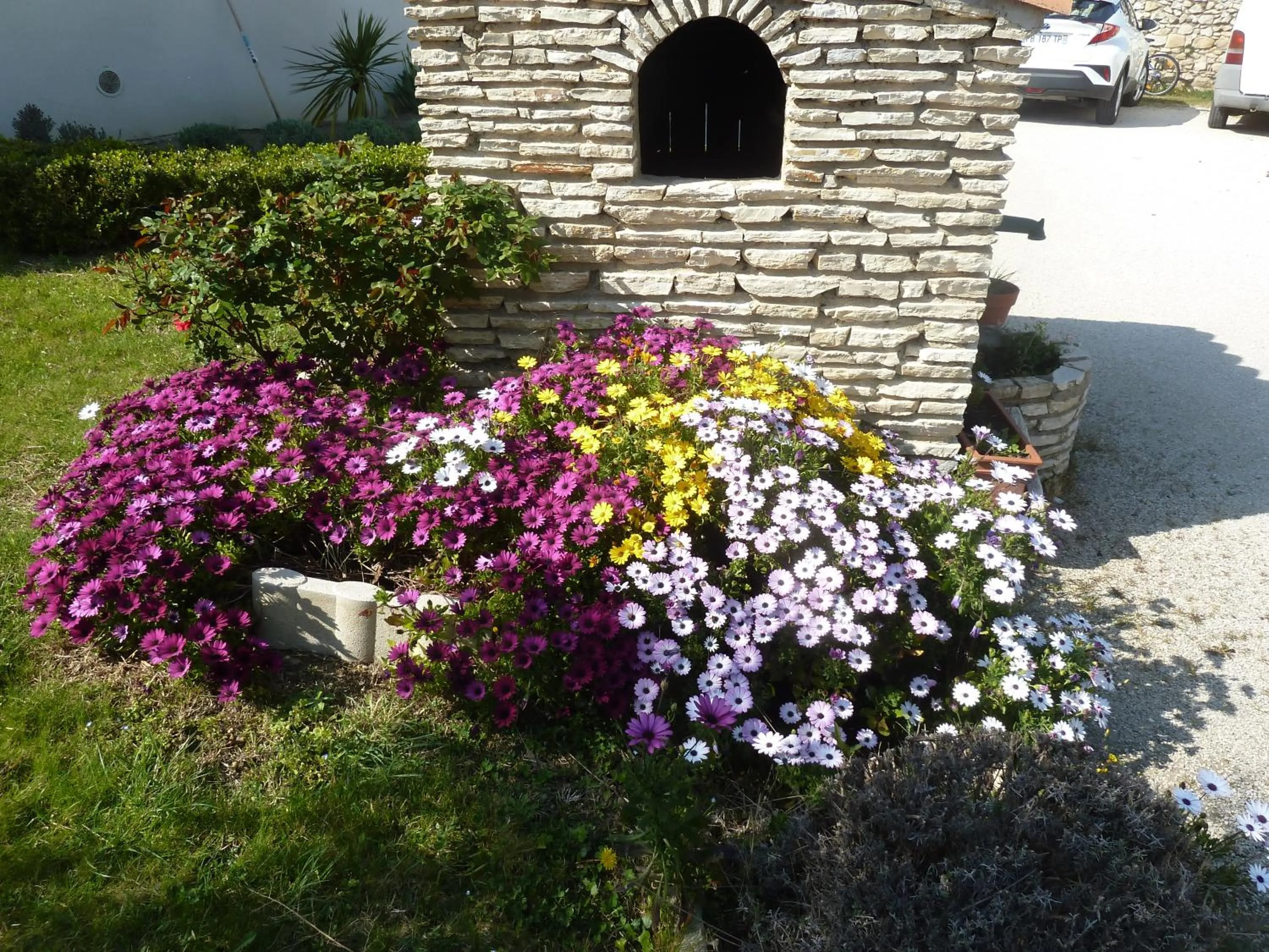 Garden in Les chambres d'hôtes d'Eloïse, piscine privée