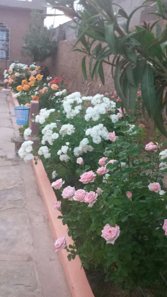 Hôtel La Vallée Des Oiseaux