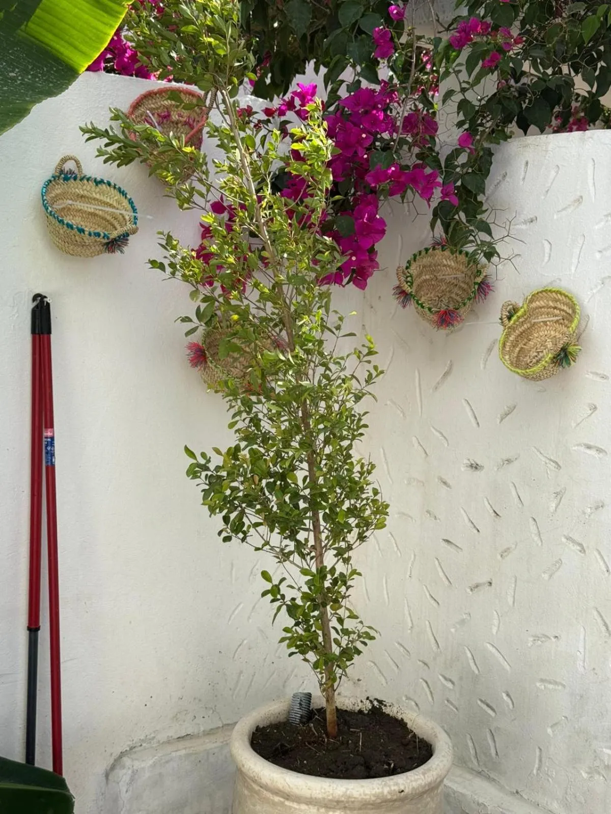 Villa Tanger Cap Spartel Vue sur mer