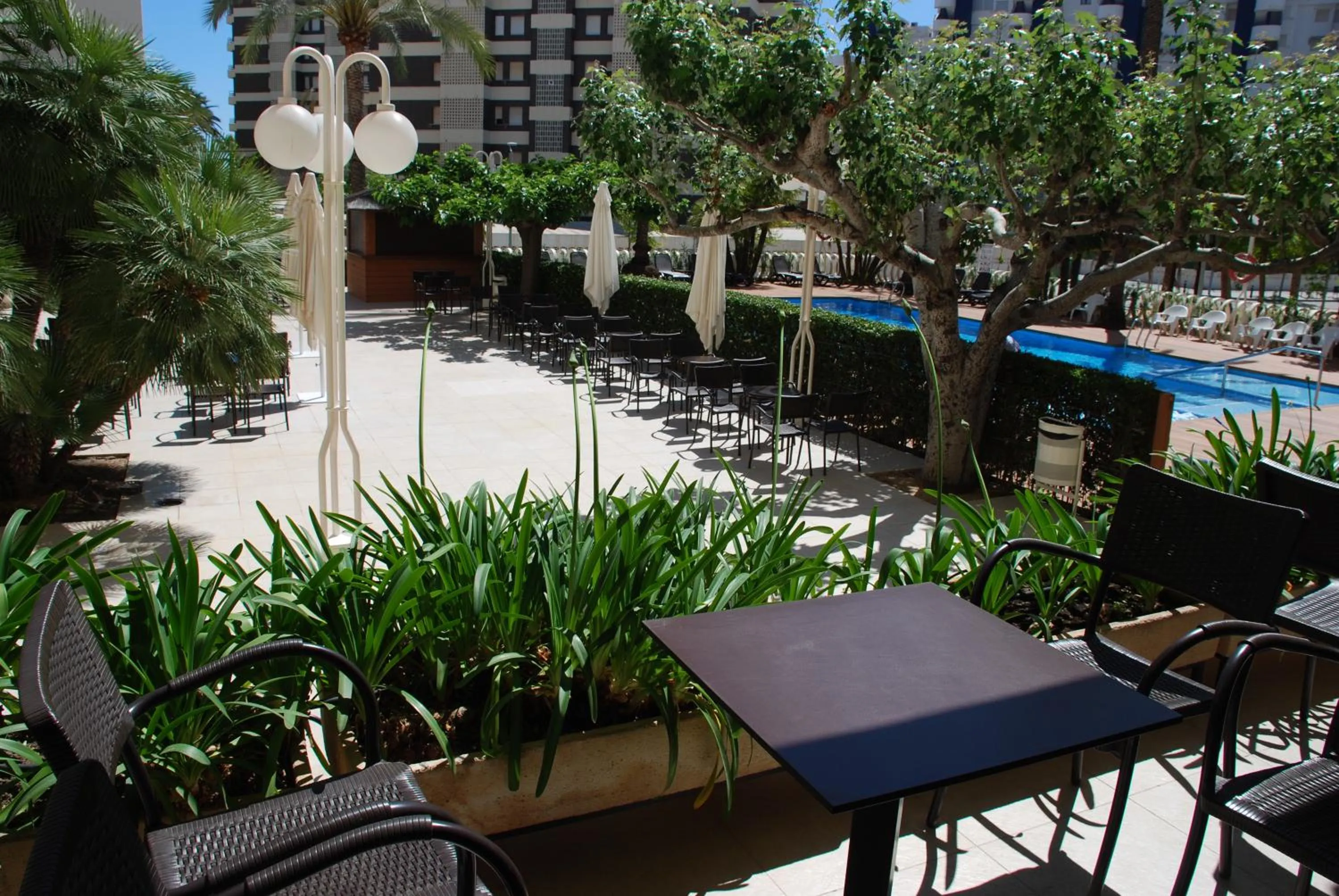 Patio in Hotel Los Robles