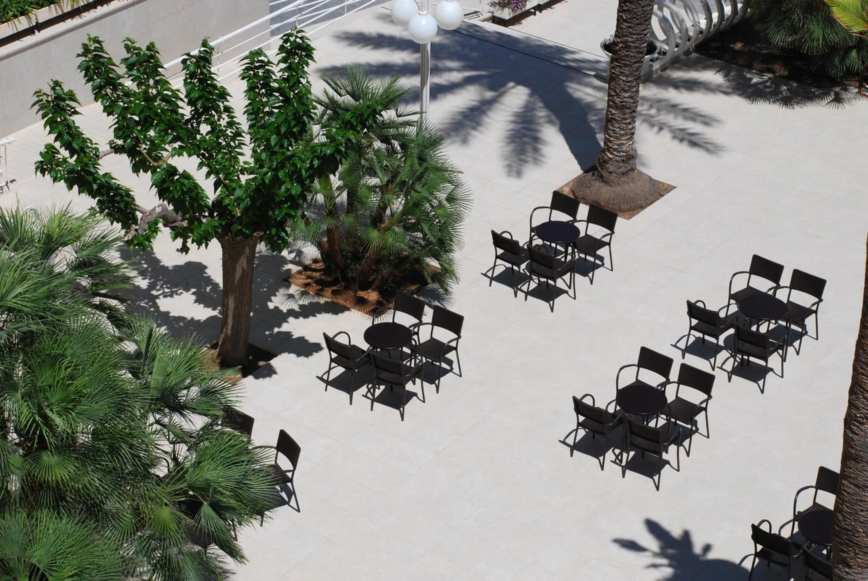 Area and facilities in Hotel Los Robles