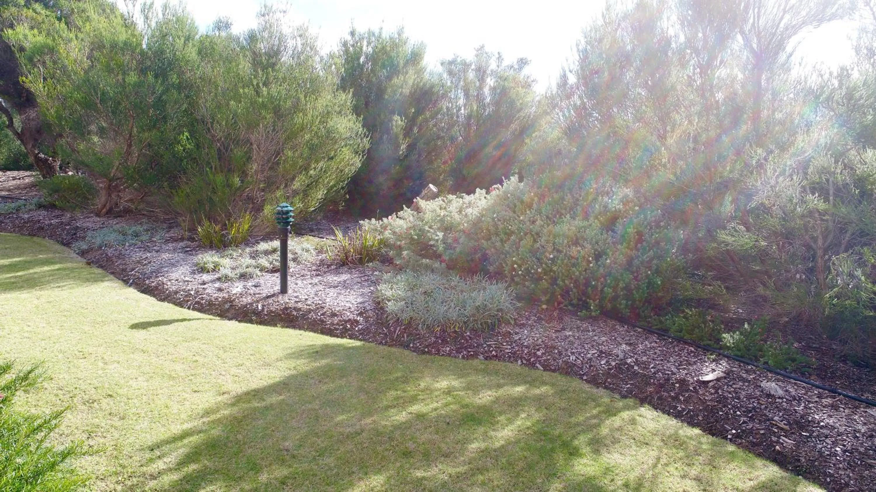 Garden in Margaret River Beach Apartments