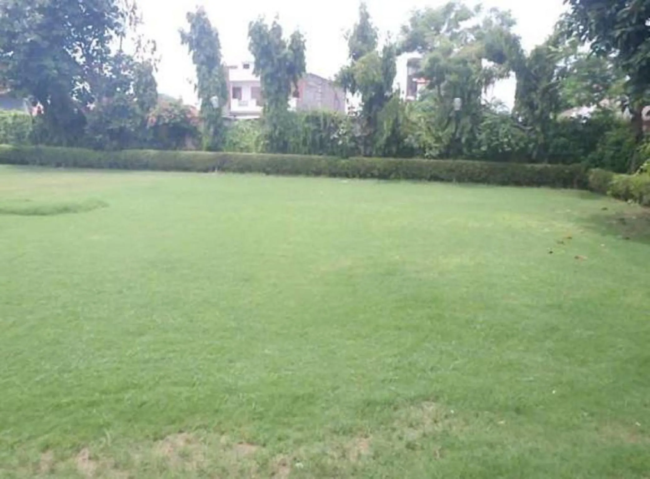 Garden in Hotel Abhinandan