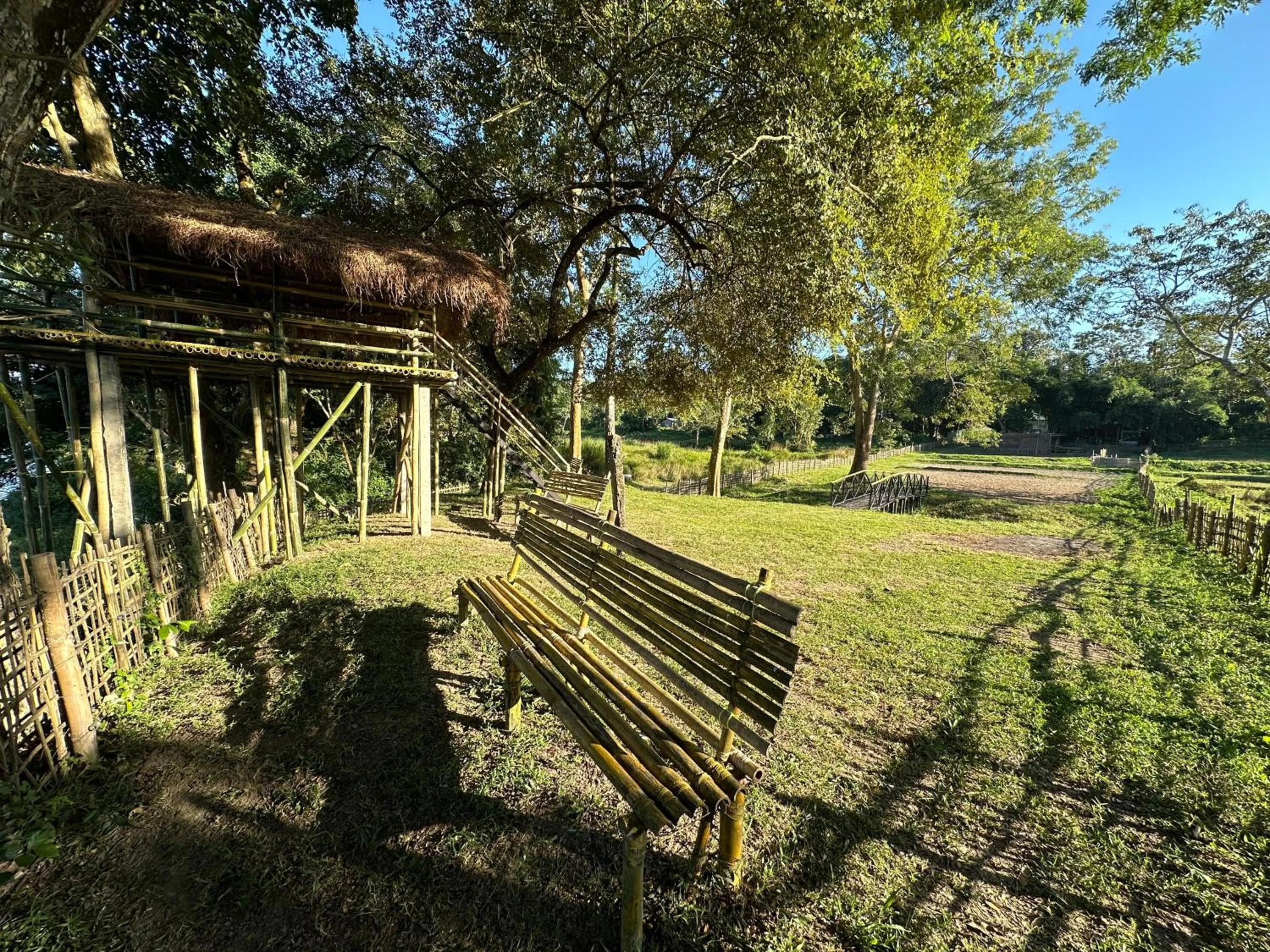 Garden in Jungleciti House, Kaziranga National Park