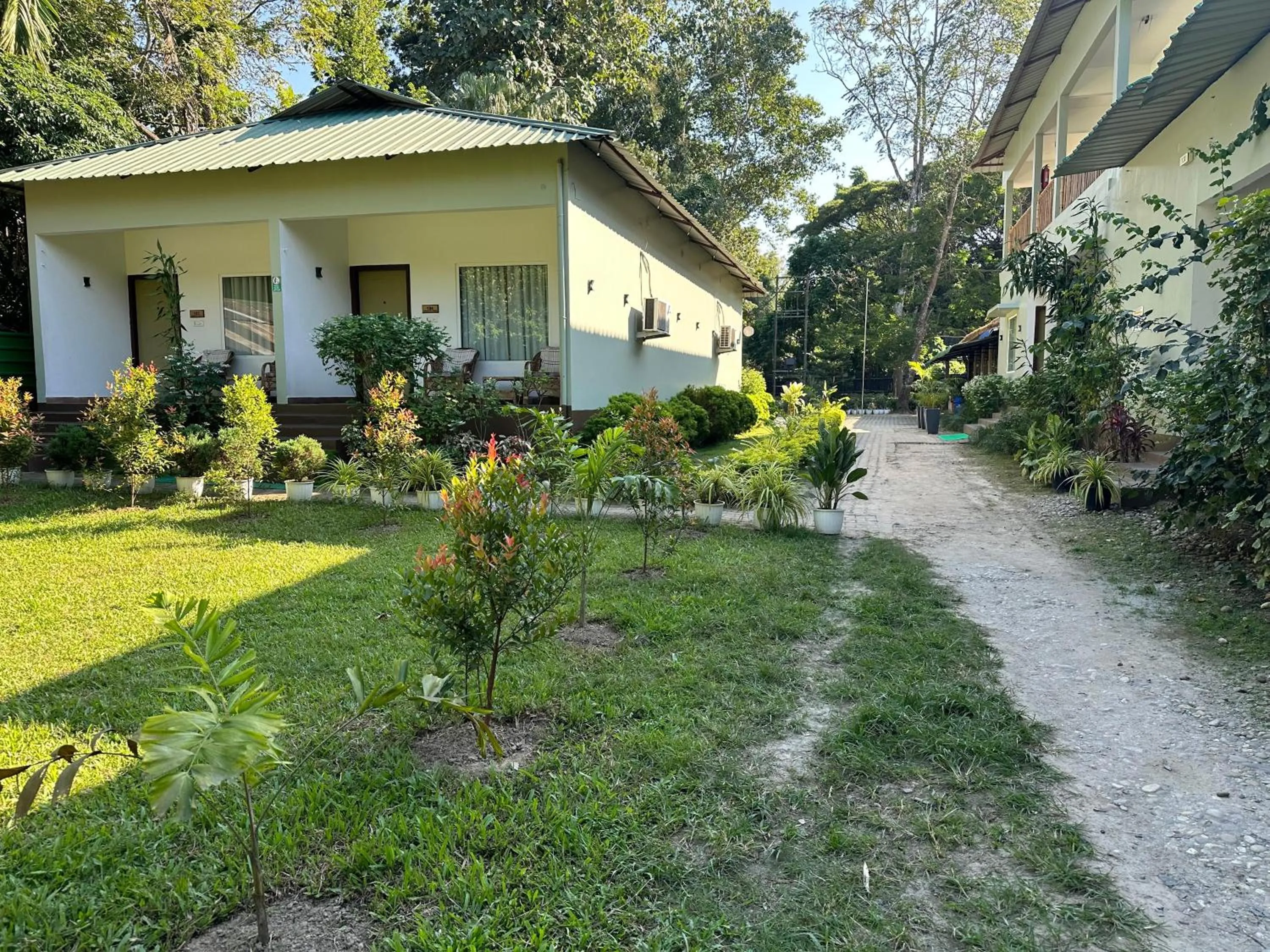Garden in Jungleciti House, Kaziranga National Park