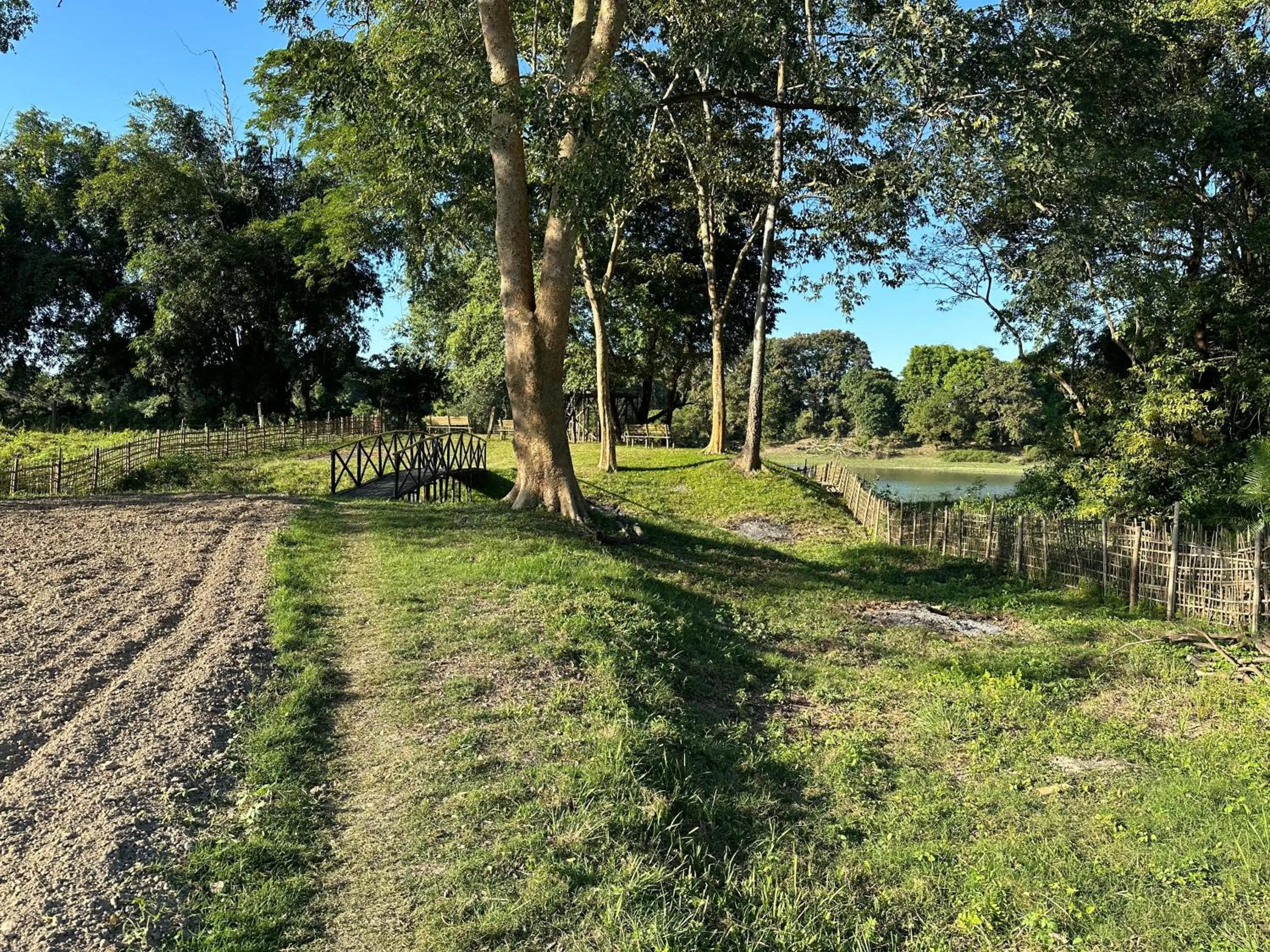 Garden in Jungleciti House, Kaziranga National Park