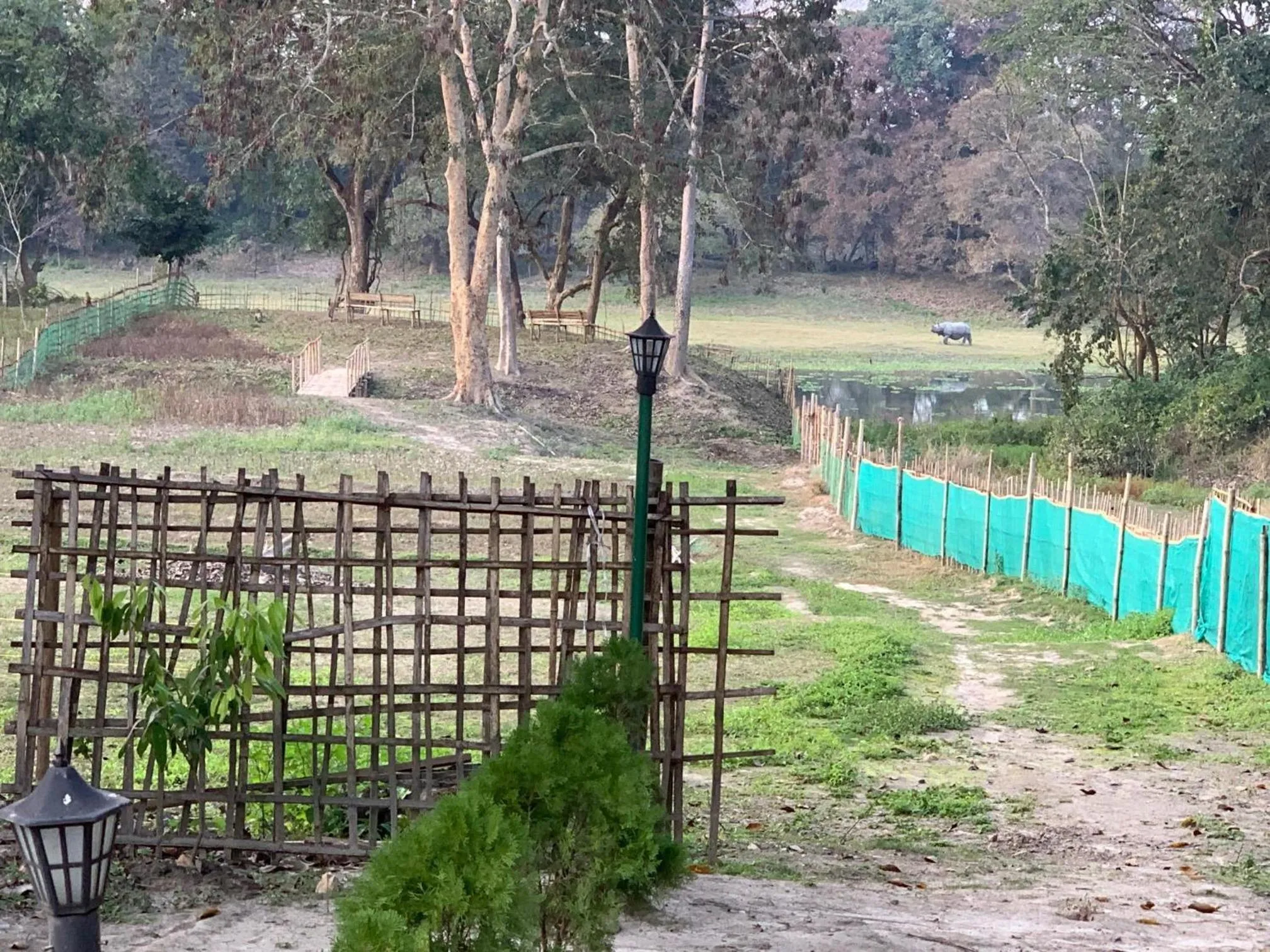 Garden in Jungleciti House, Kaziranga National Park