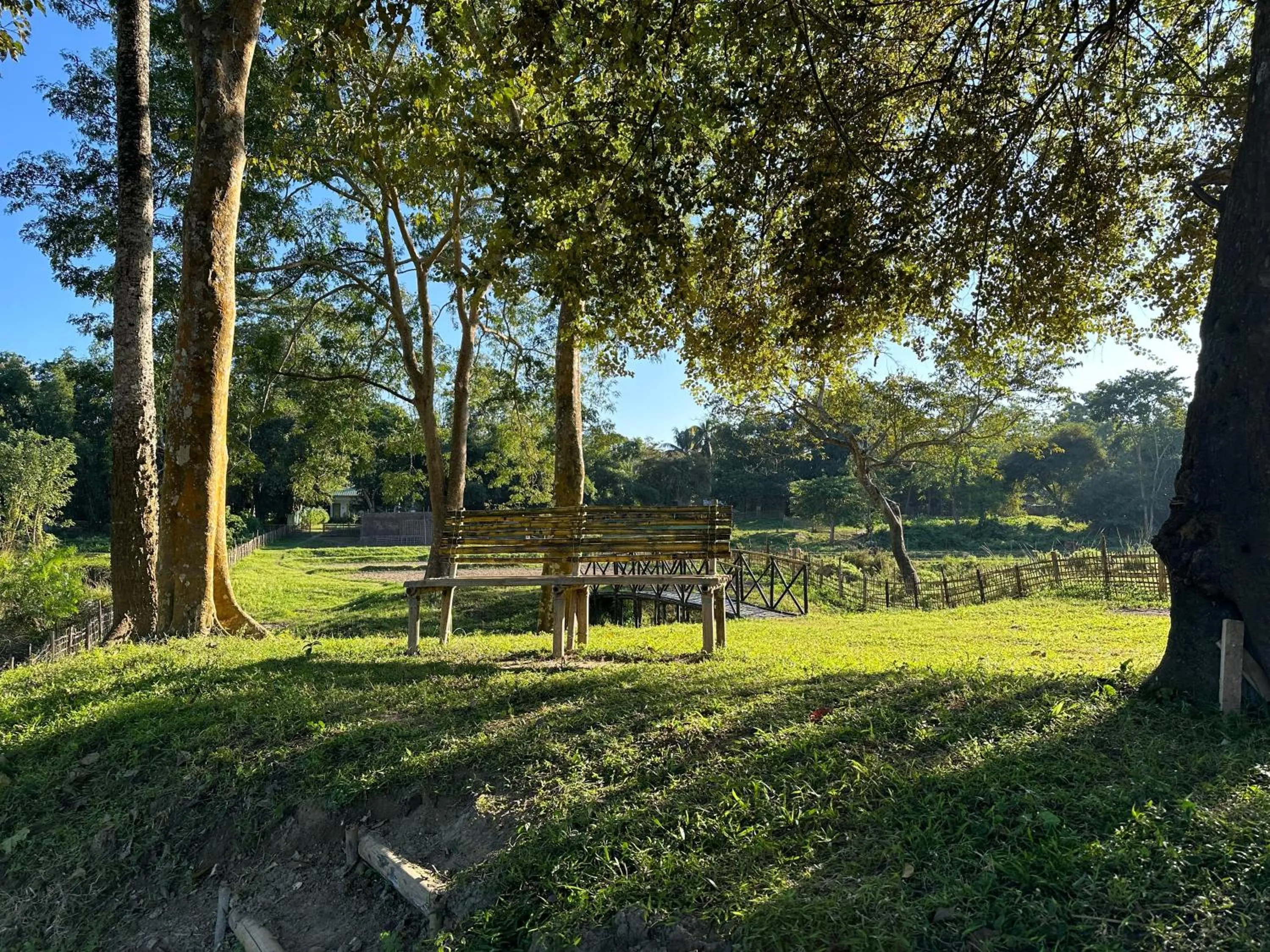Landmark view in Jungleciti House, Kaziranga National Park