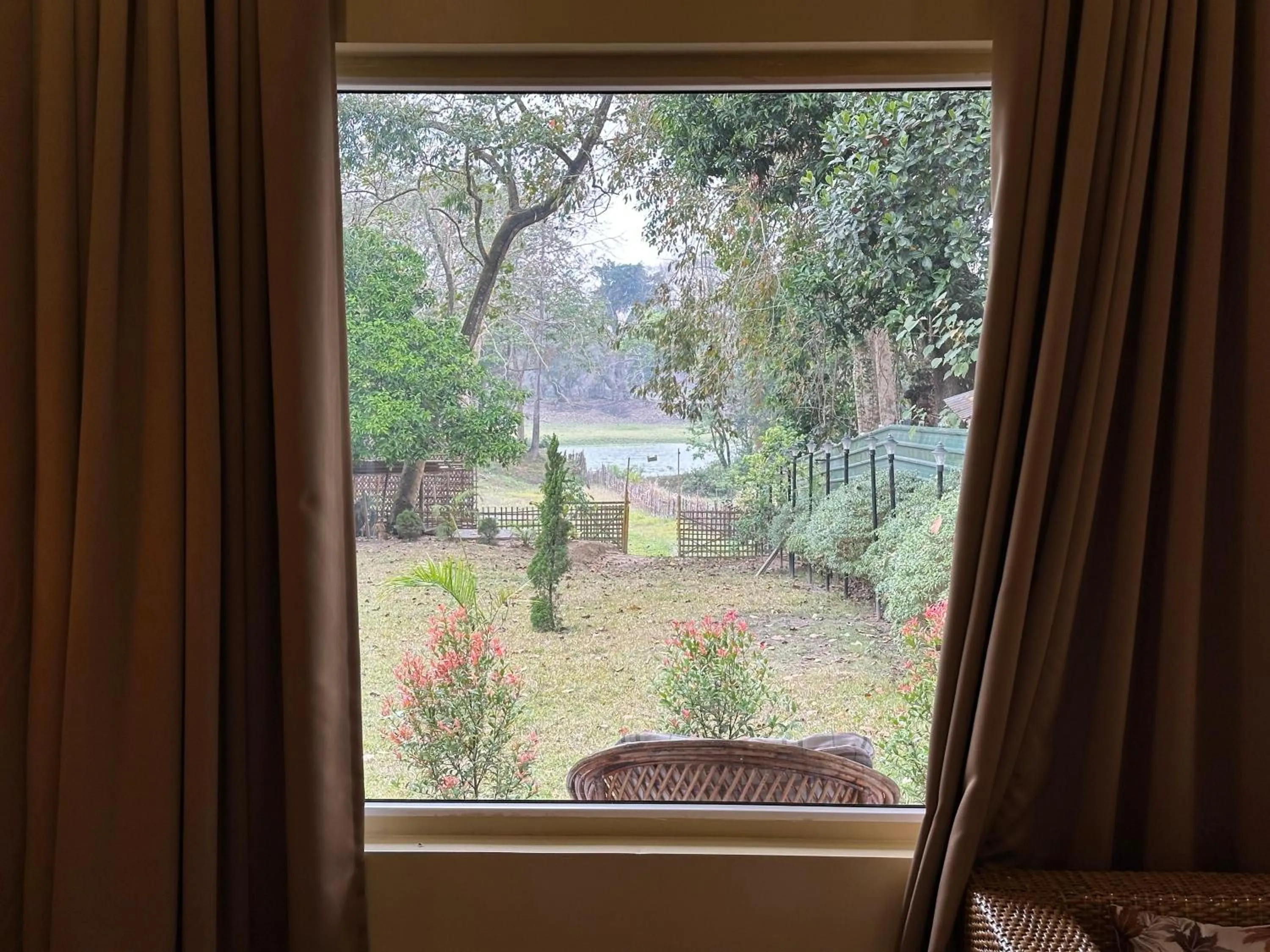 View (from property/room) in Jungleciti House, Kaziranga National Park