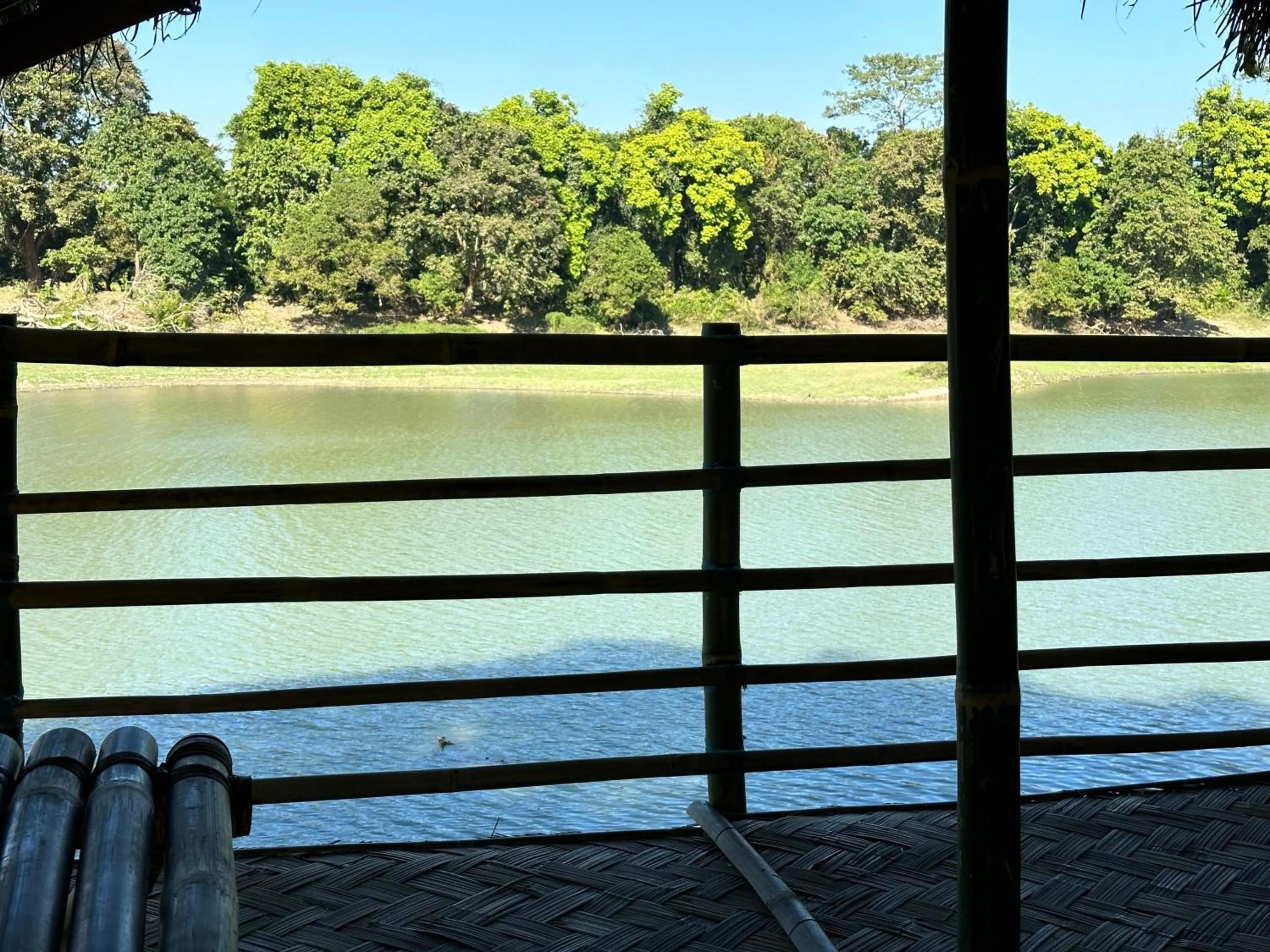Balcony/Terrace in Jungleciti House, Kaziranga National Park