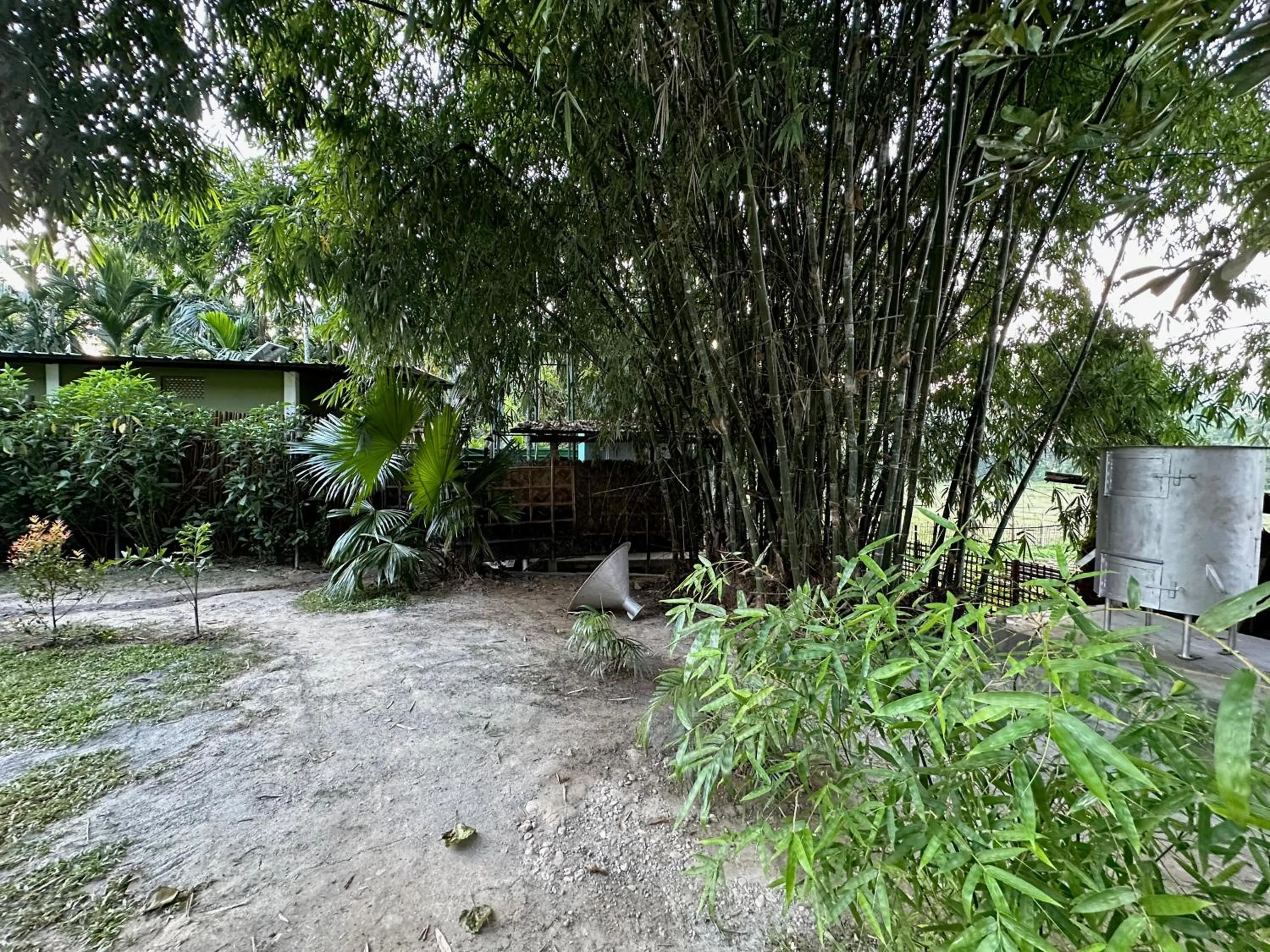 Garden in Jungleciti House, Kaziranga National Park