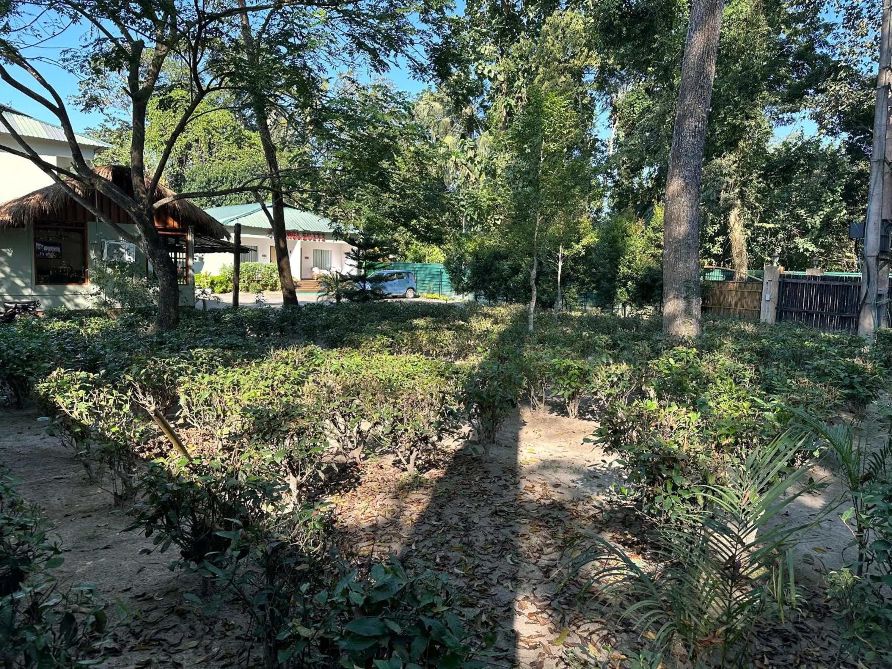 Garden in Jungleciti House, Kaziranga National Park