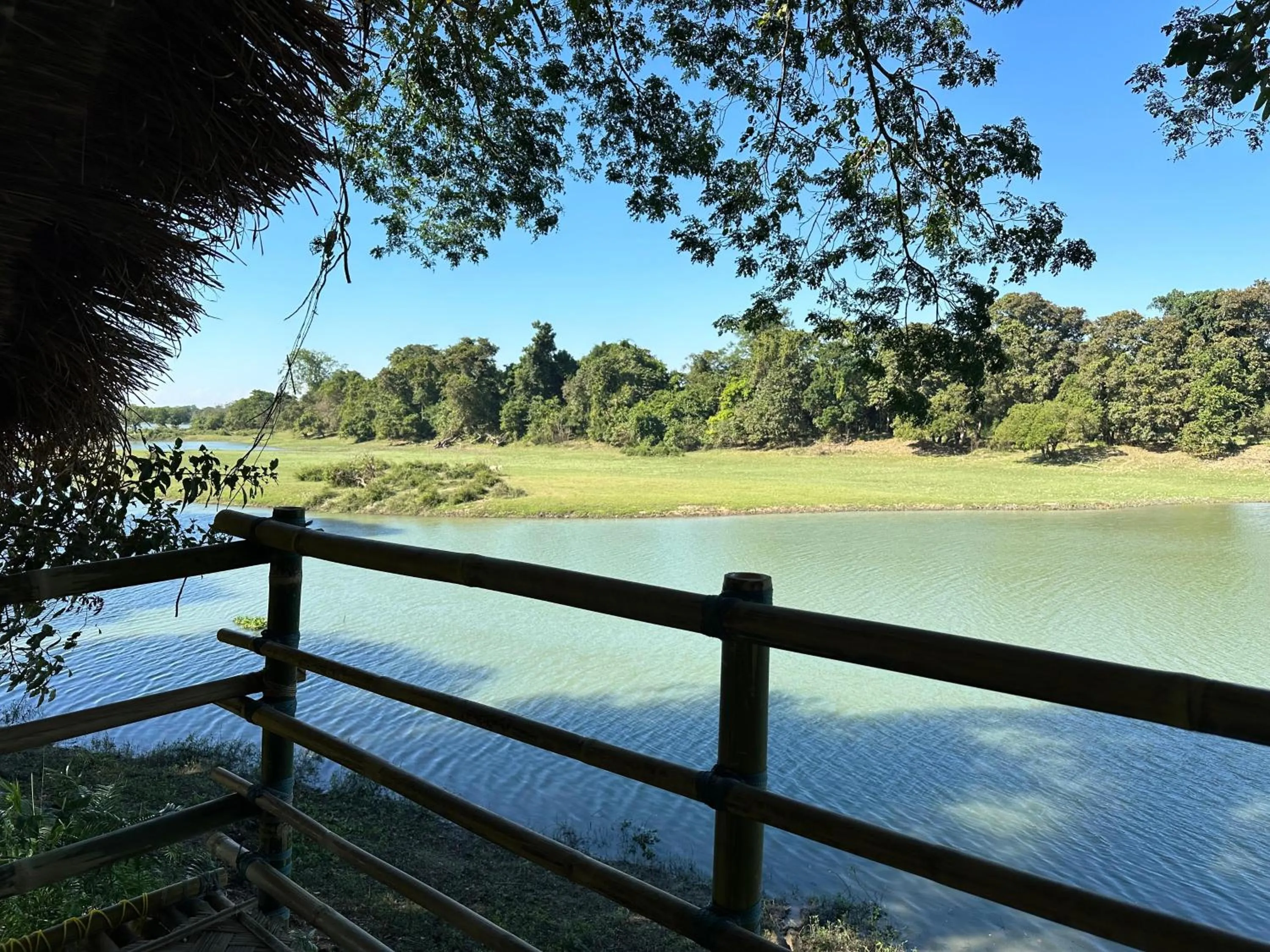 Balcony/Terrace in Jungleciti House, Kaziranga National Park