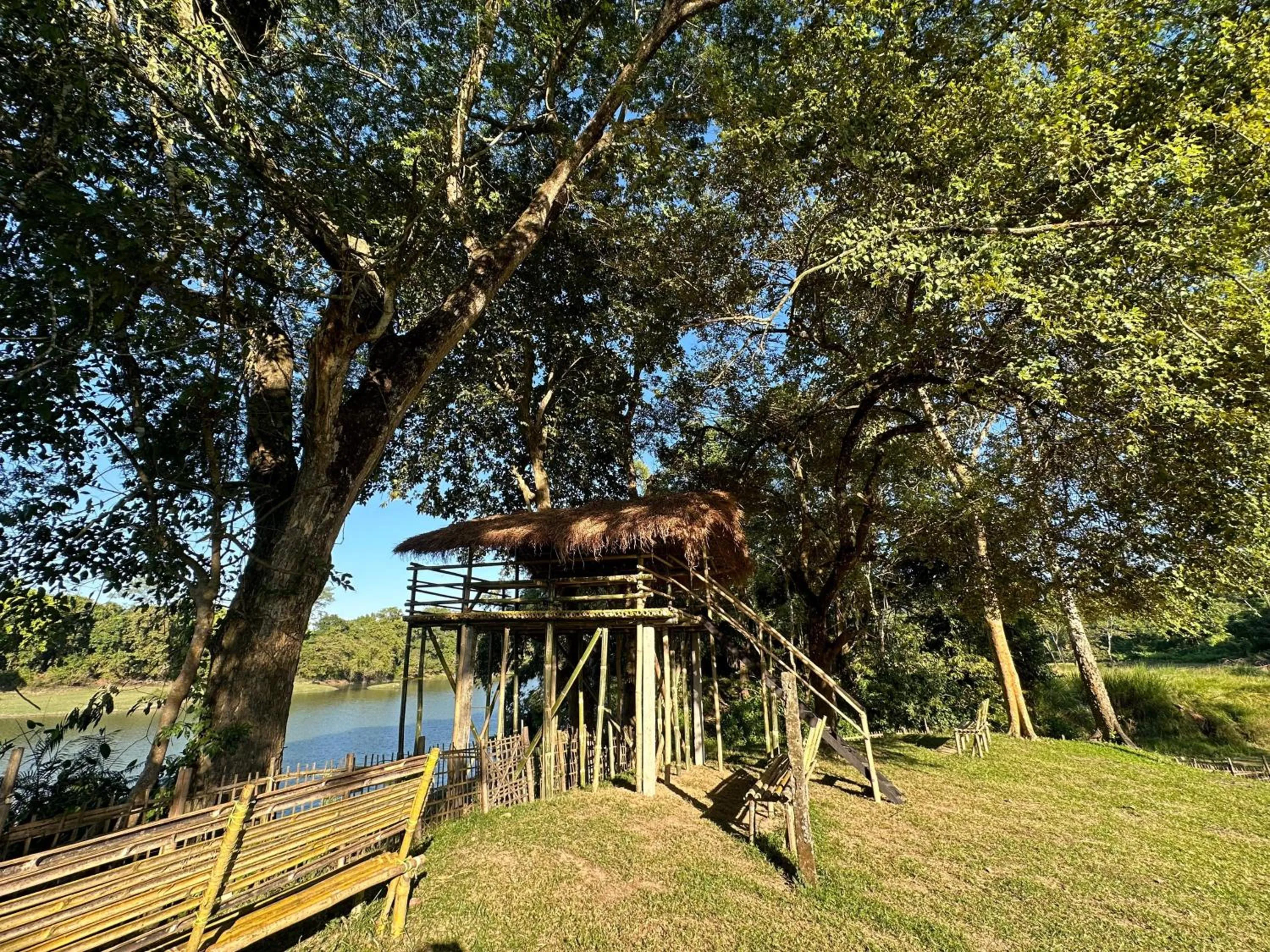 Garden in Jungleciti House, Kaziranga National Park