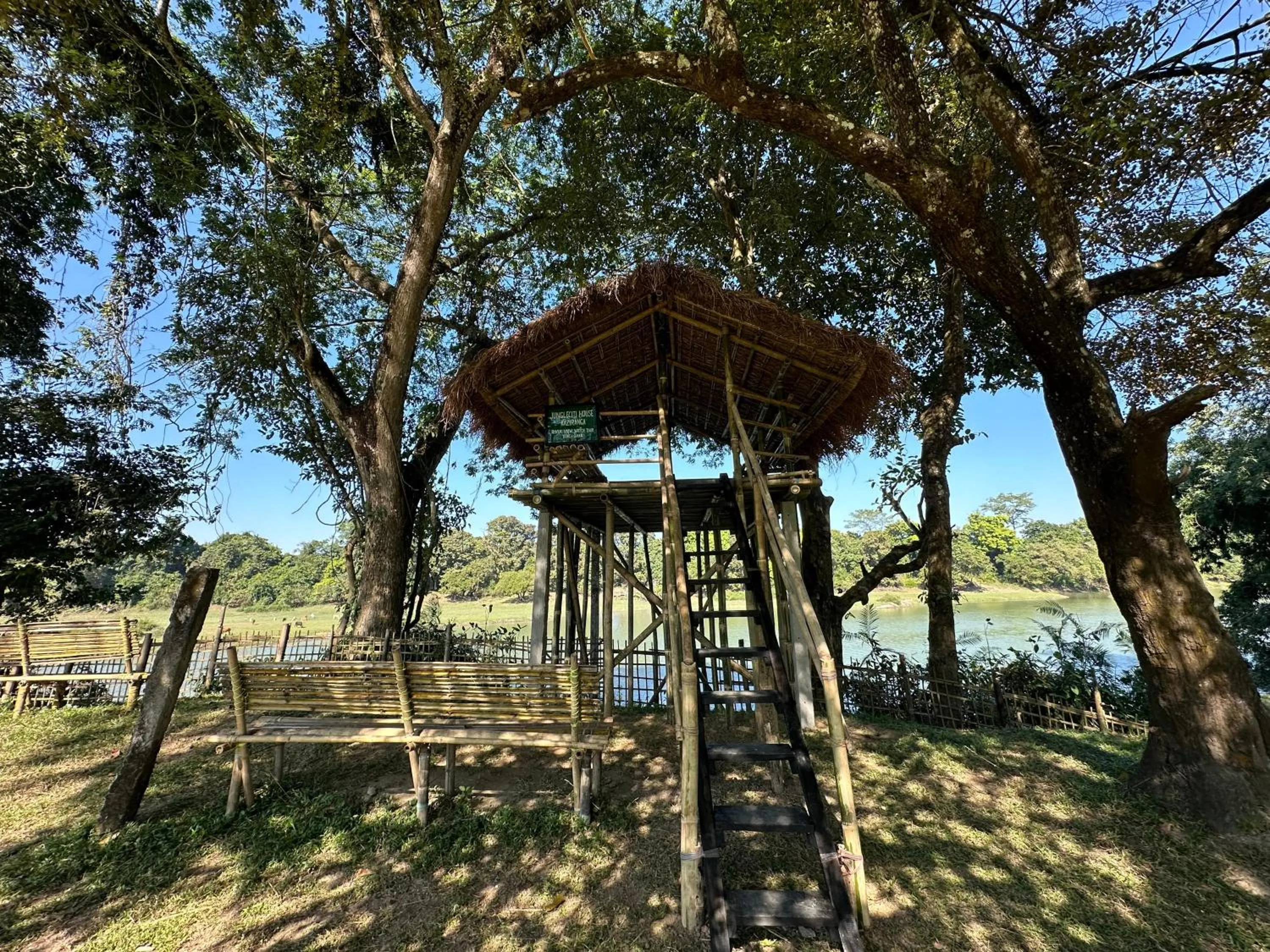 Garden in Jungleciti House, Kaziranga National Park