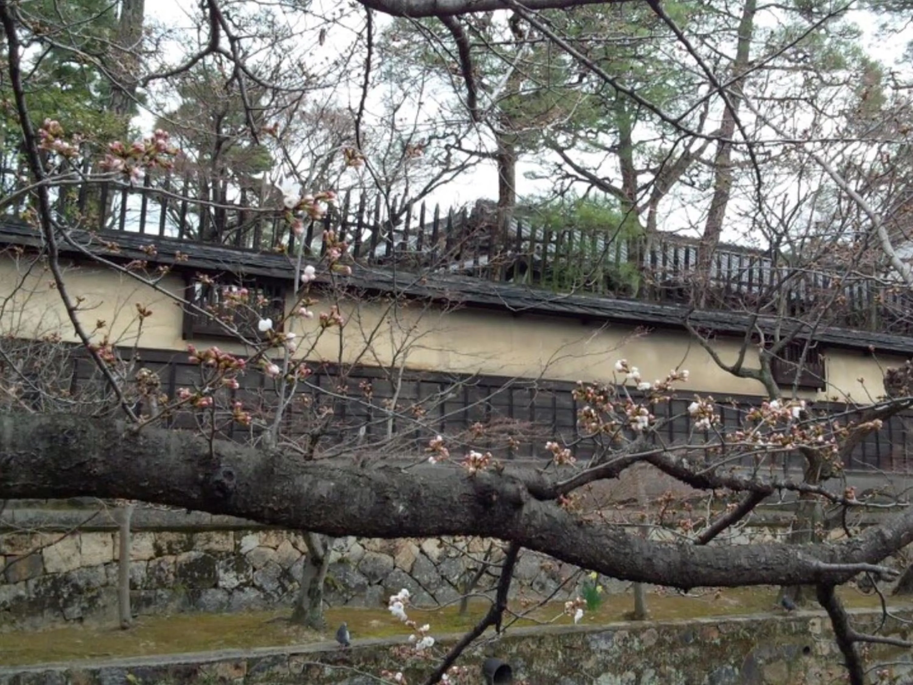 Other in Yoshii Ryokan