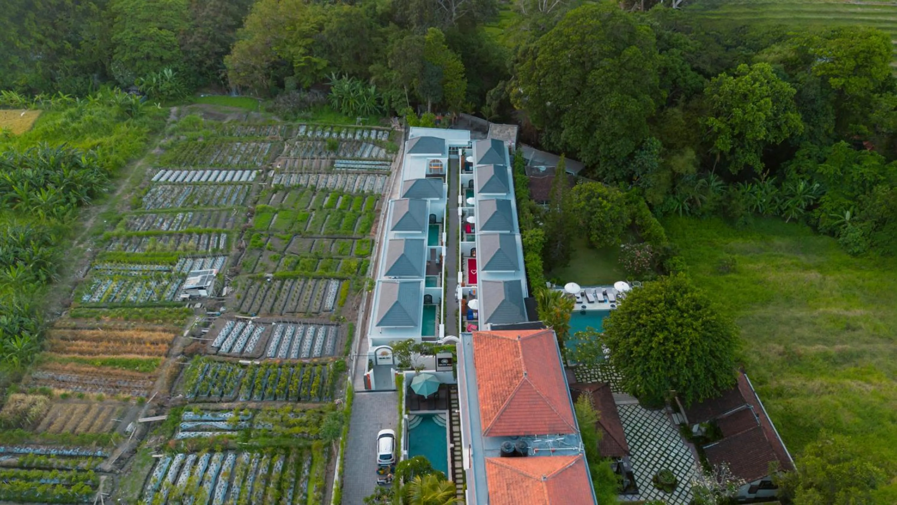 Property building in Dikubu Bali Villa and Suites