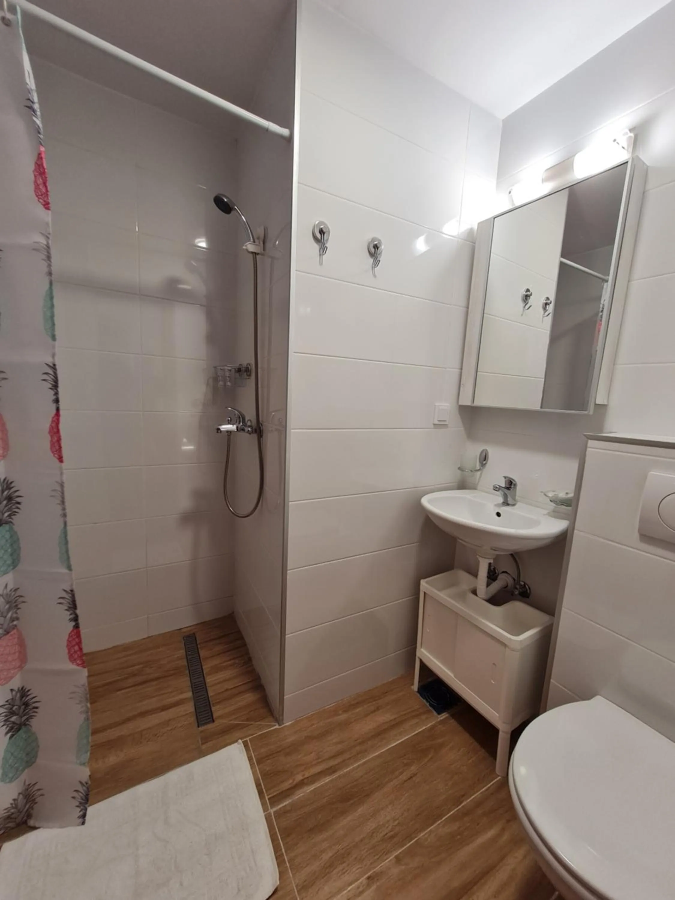 Shower in Apartmani Dalex