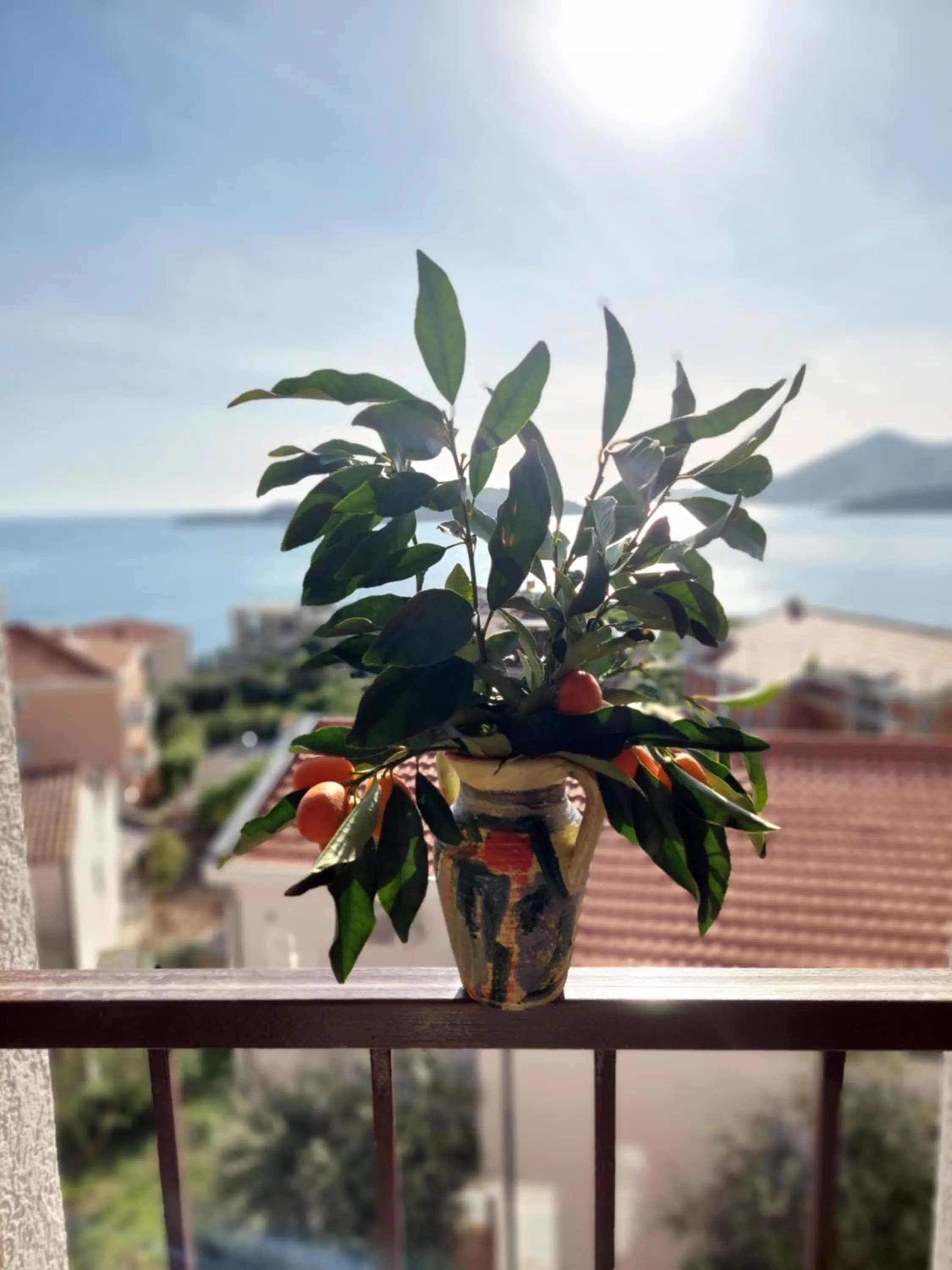 View (from property/room) in Apartmani Dalex