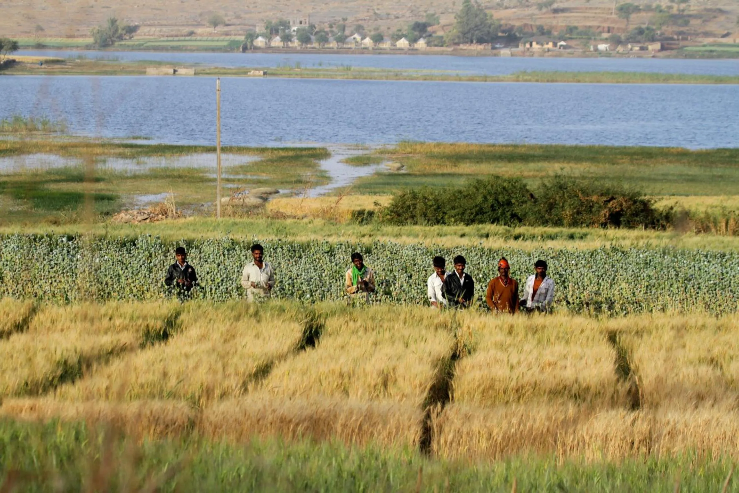 Activities in Hotel Castle Bijaipur