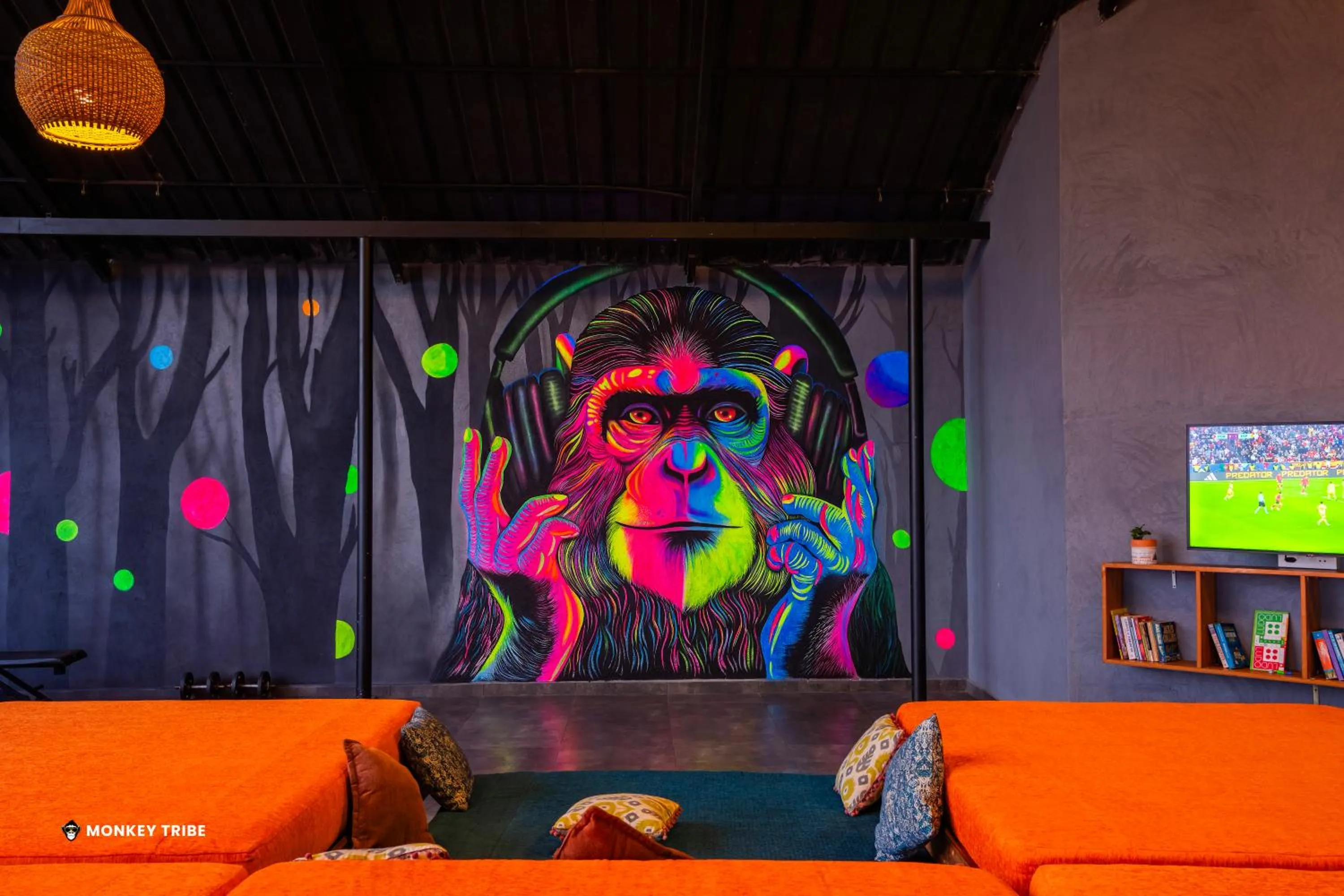 Game Room in Monkey Tribe Munnar