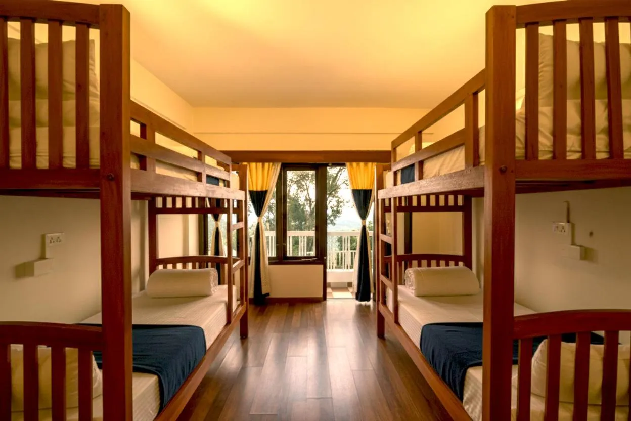 bunk bed, Bed in Monkey Tribe Munnar