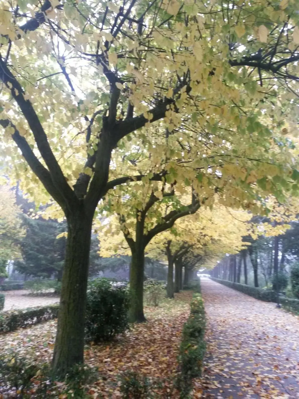 Day in Hotel Du Parc