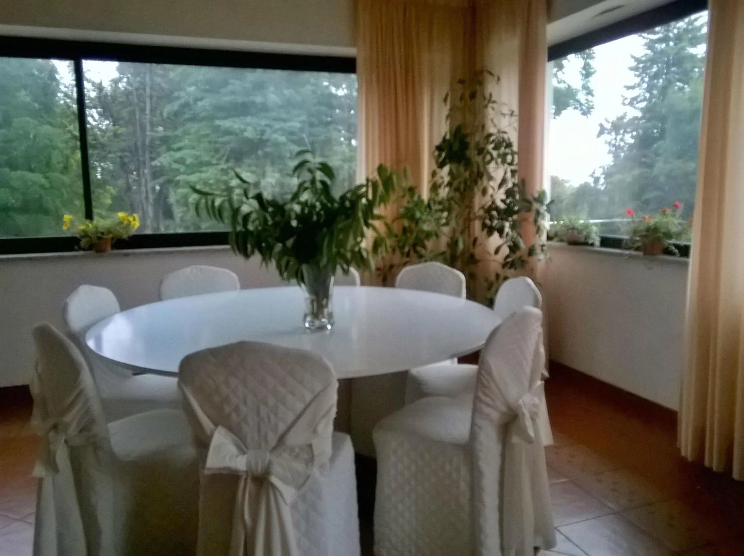 Restaurant/places to eat in Hotel Du Parc