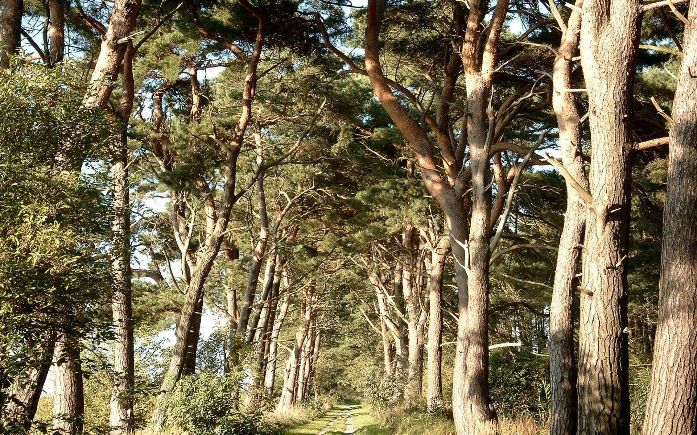 Hiking in Hotel und Restaurant "Zur Zwiebel"