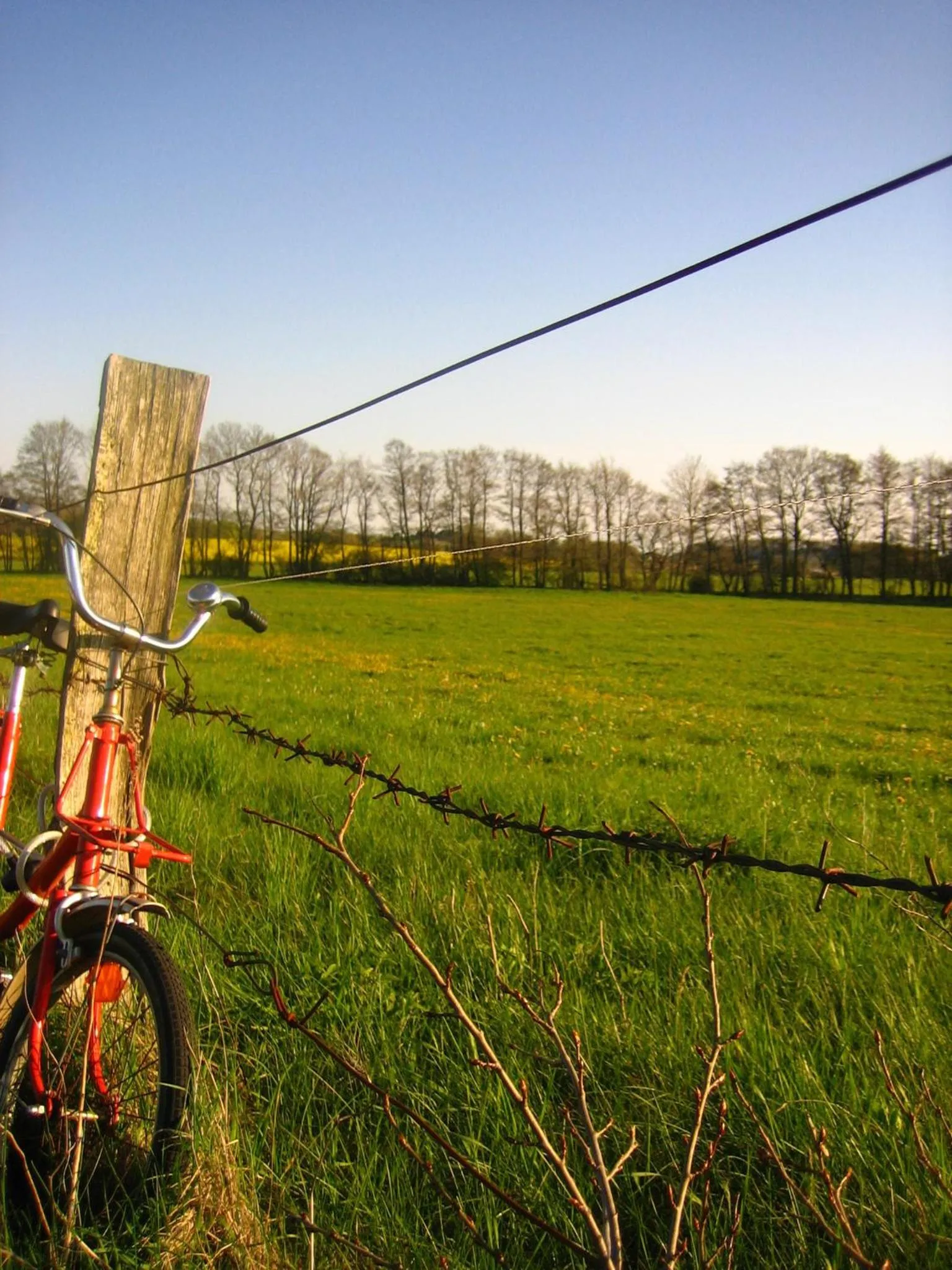 Other in Hotel und Restaurant "Zur Zwiebel"