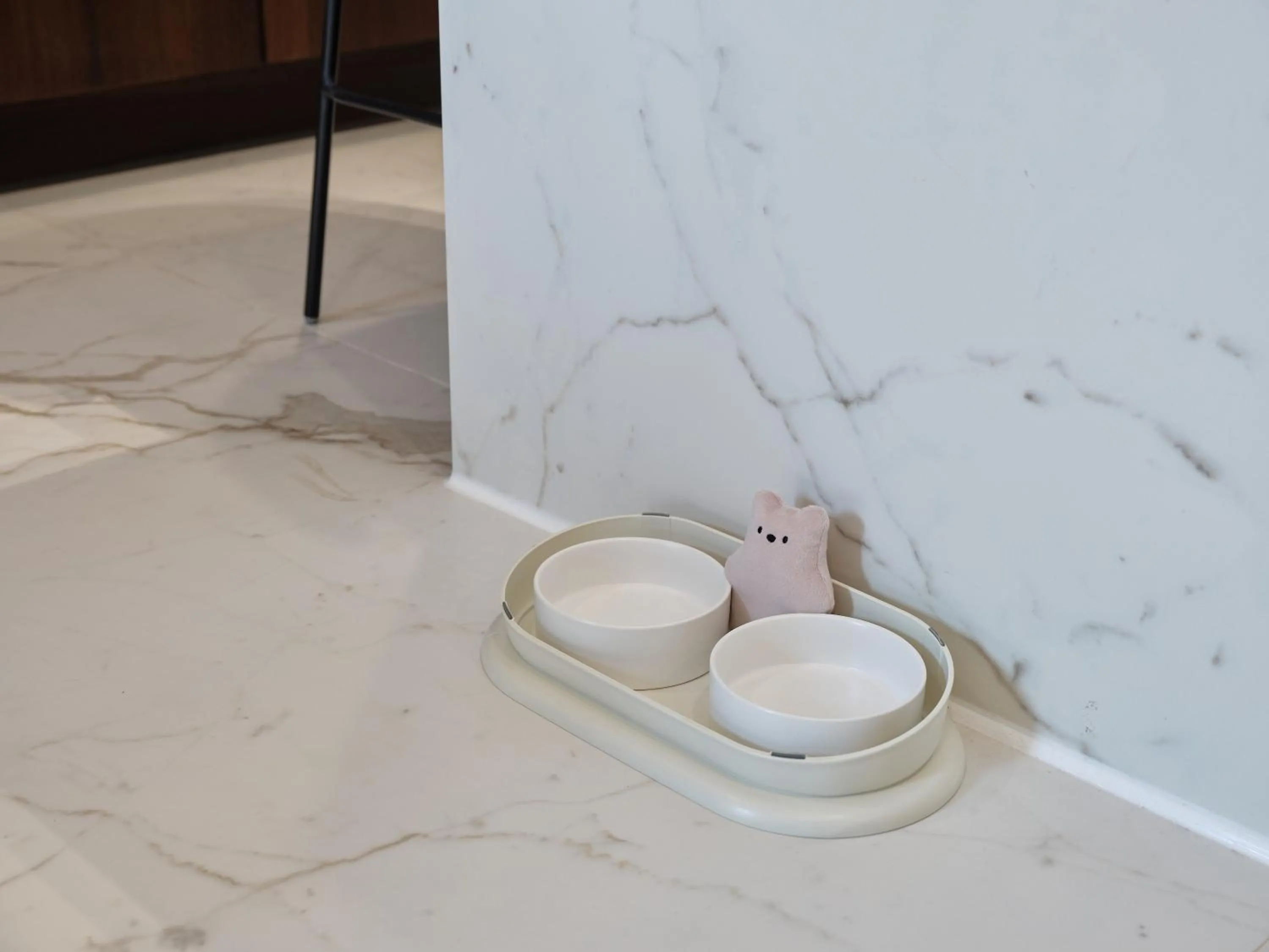 Pets in Hotel The Botanik Sewoon Myeongdong