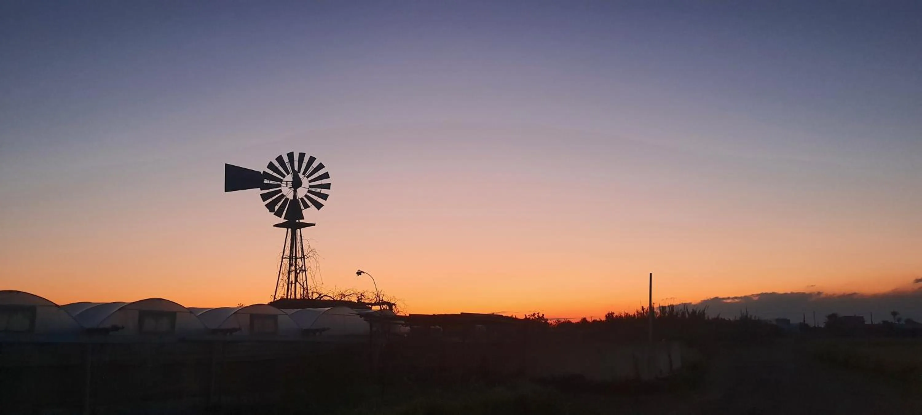 Tsokkos Gardens Hotel