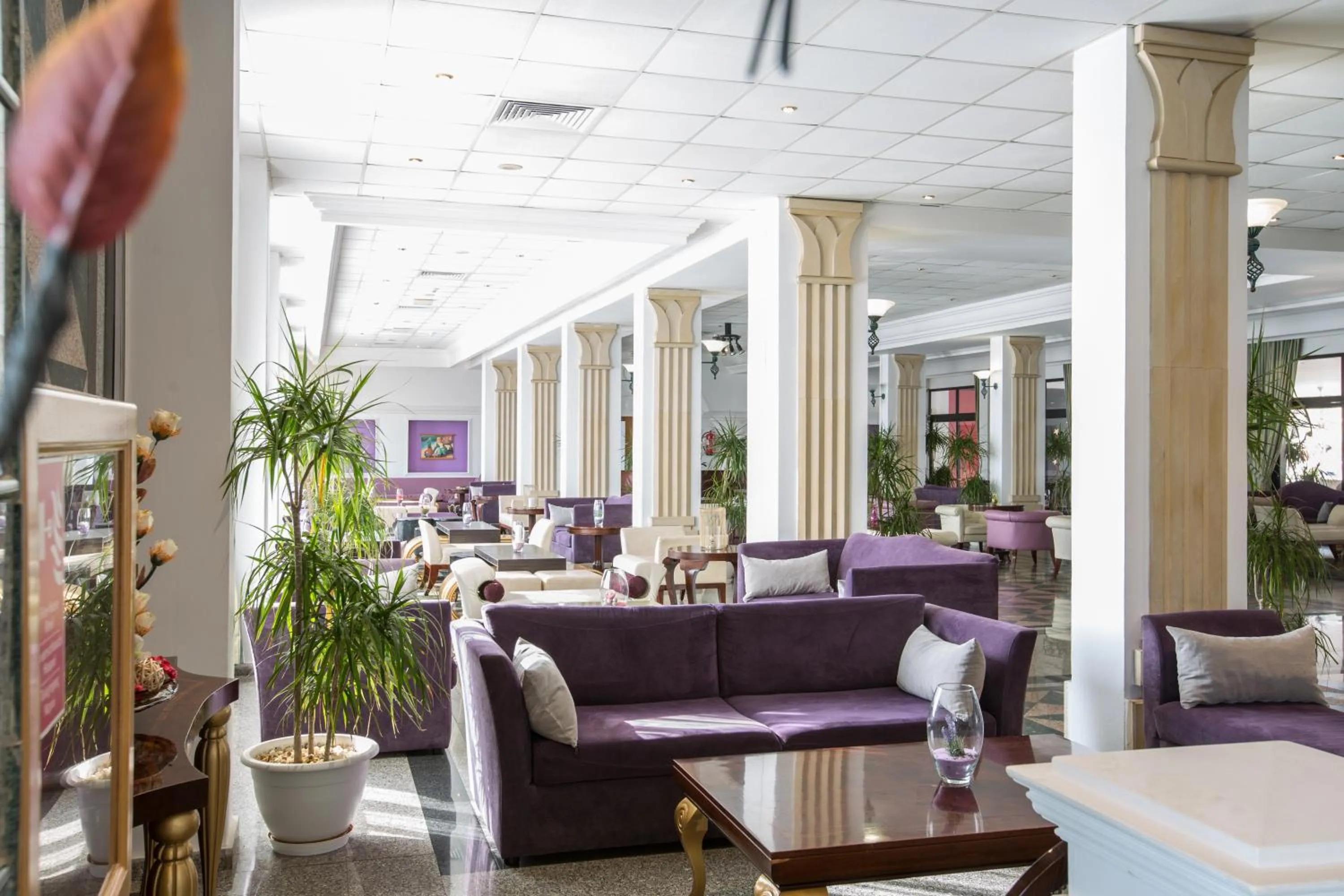 Tsokkos Gardens Hotel